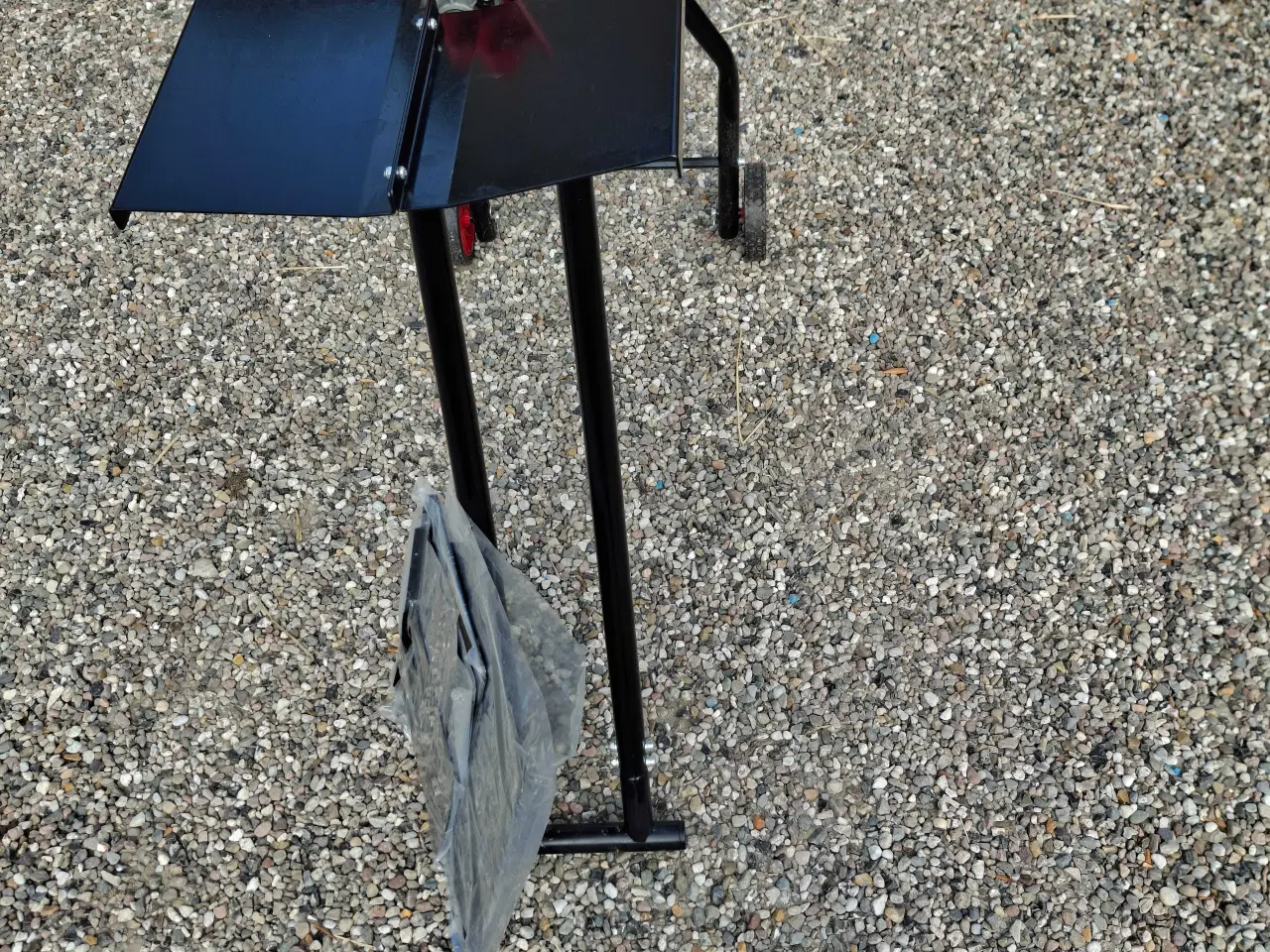 Billede 7 - Høj Brændekløver fra 2022