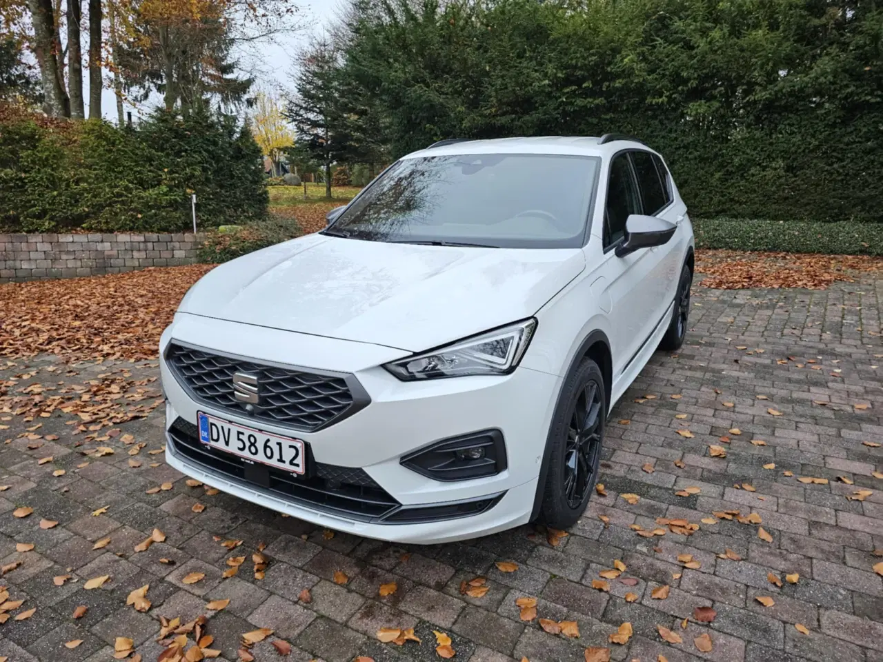 Billede 2 - Seat tarraco
