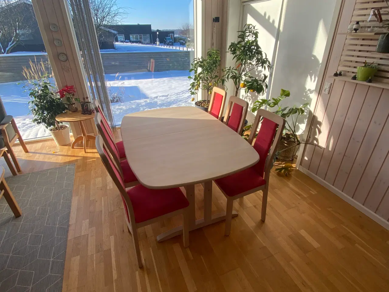 Billede 5 - Spisebord med stole i Bøg sæbe behandlet