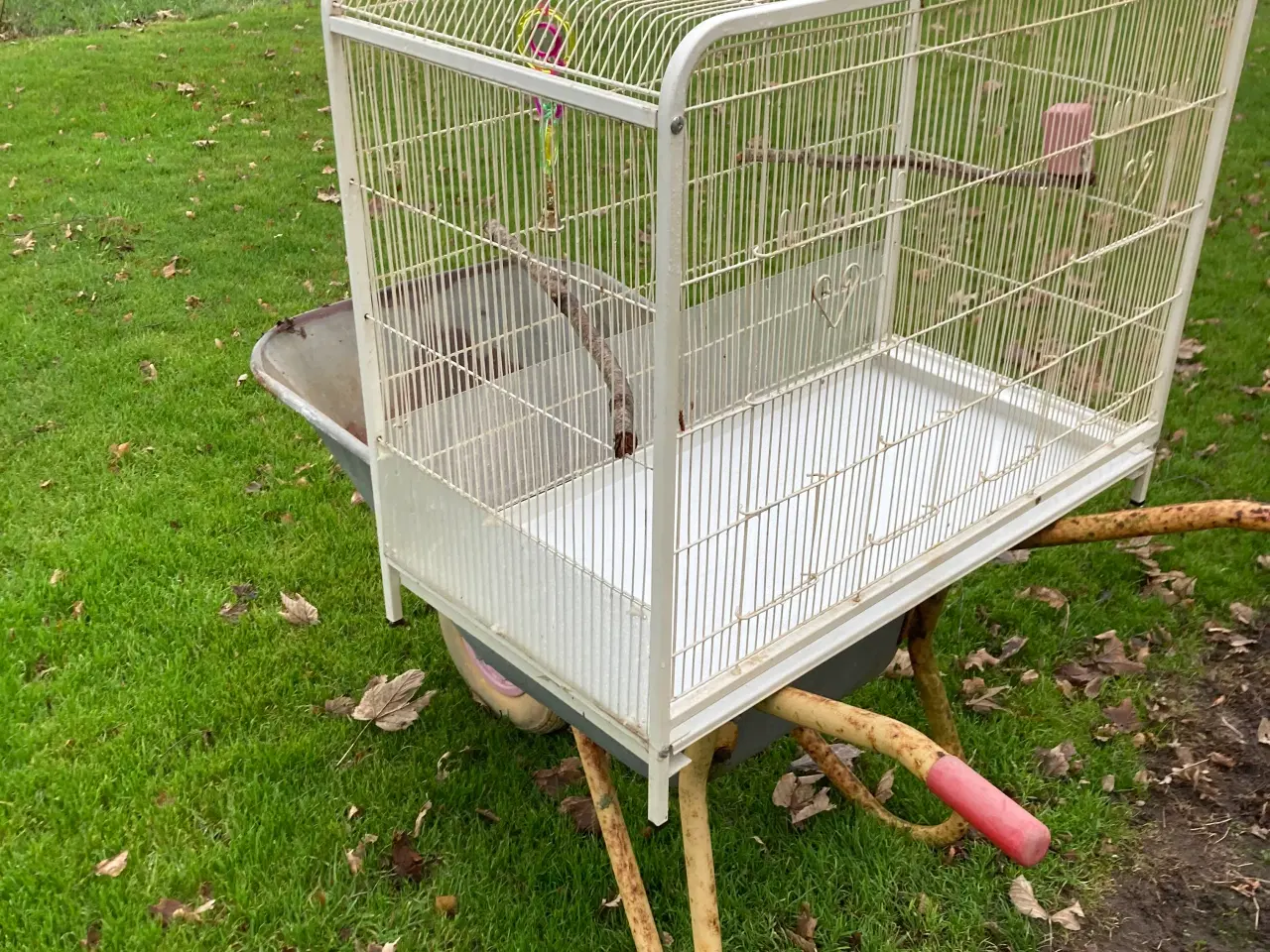 Billede 3 - God stor bur til Parekitter 45-70-80