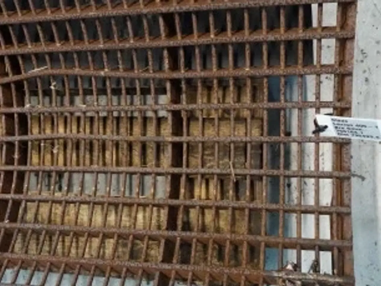 Billede 9 - Claas Lexion 405 Bro 7561841