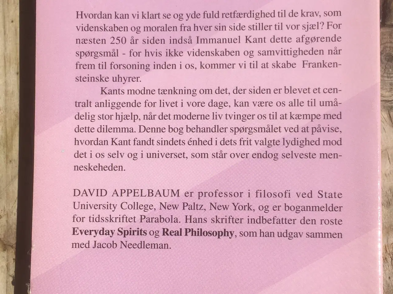 Billede 2 - Kants vision, David Appelbaum