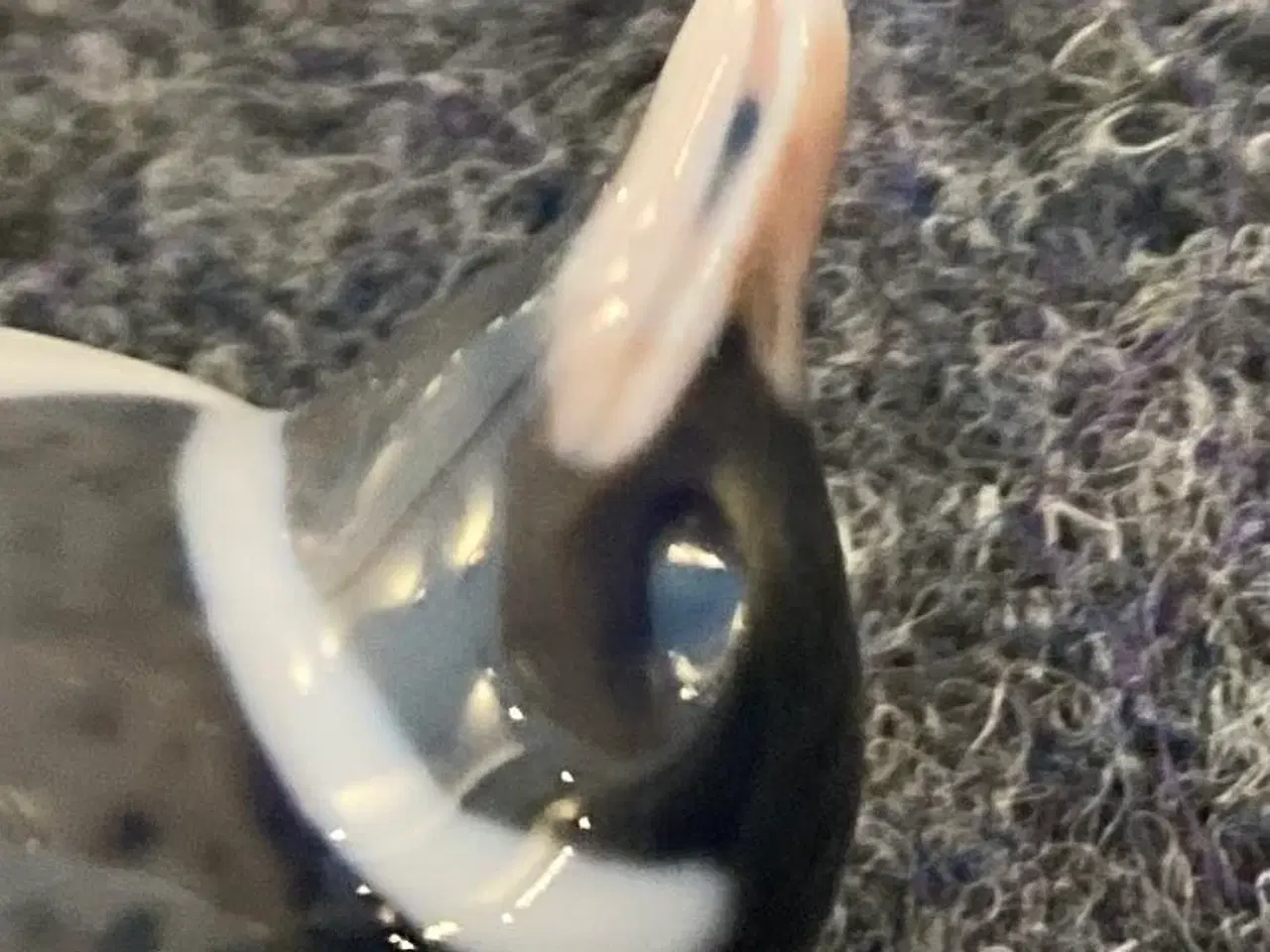 Billede 6 - Royal Copenhagen pingvin