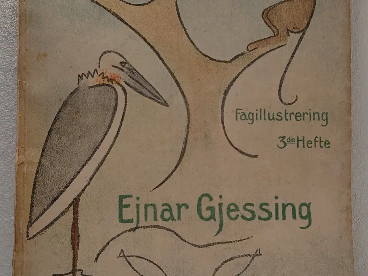 Billede 1 - Ejnar Gjessing: Zoologi.Fagillustrering 3. 1916