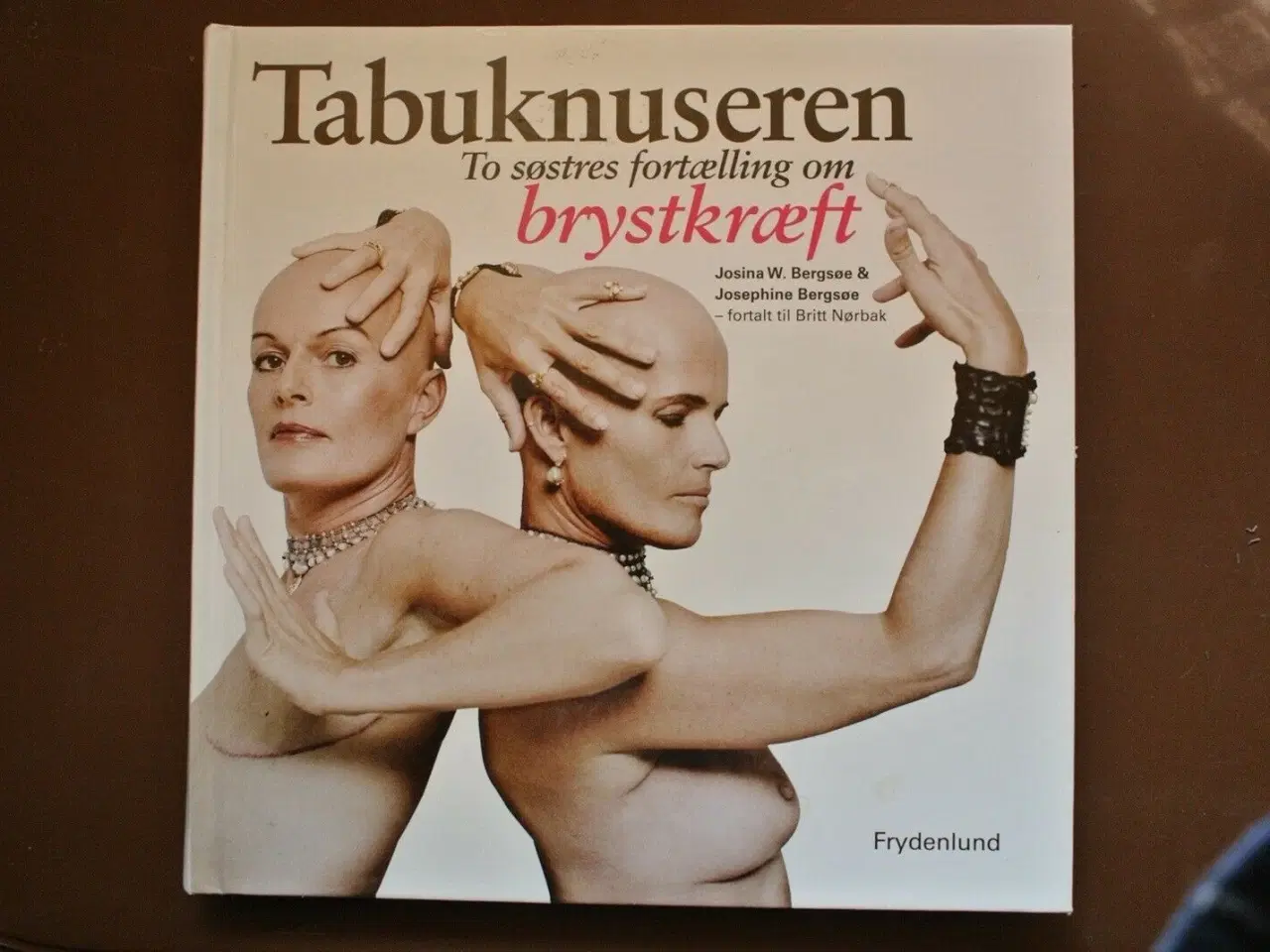 Billede 1 - tabuknuseren - to søstres fortælling om brystkræft