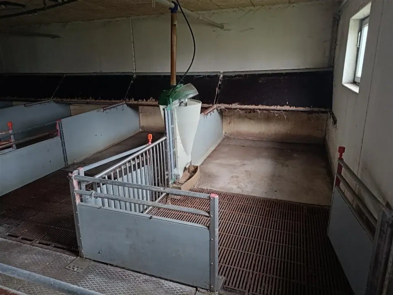 Billede 4 - - - - klima-/smågrise stier  16 stier MOMSFRI