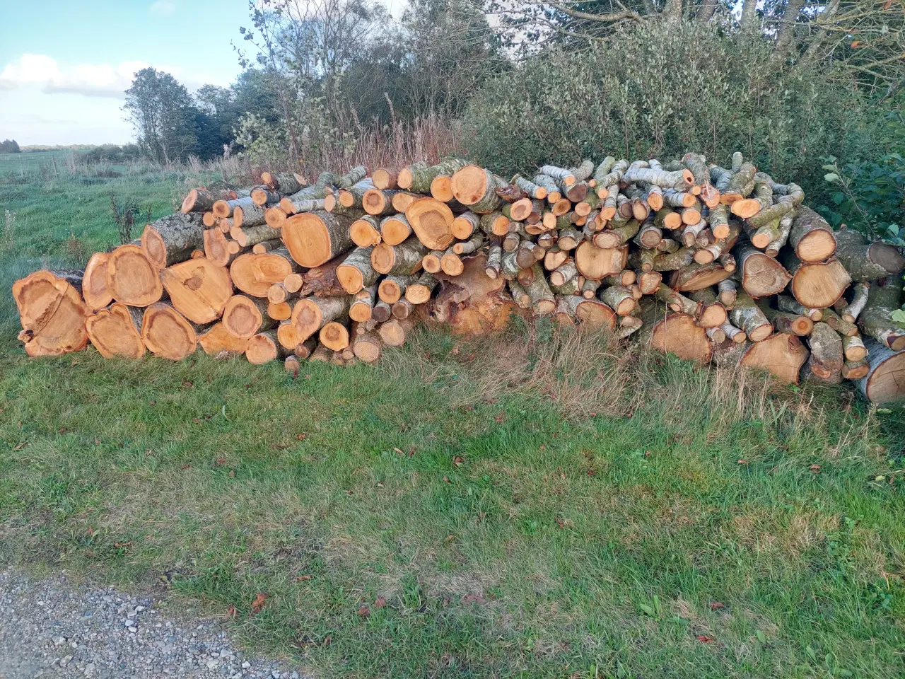 Billede 1 - Brænde