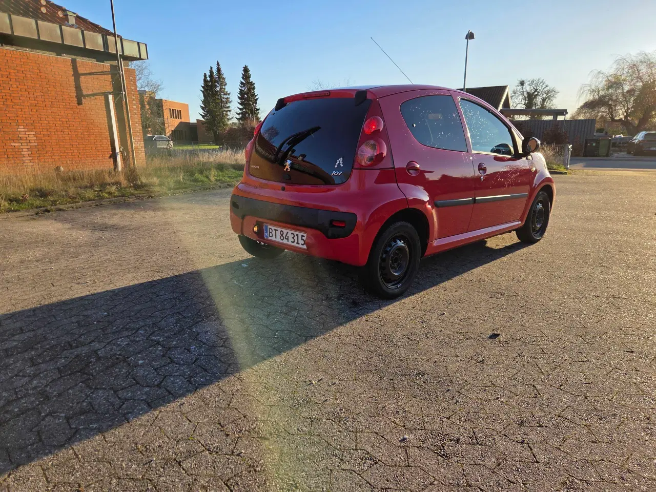 Billede 5 - ØKOGRIS MED PLADER OG NYSYNET 