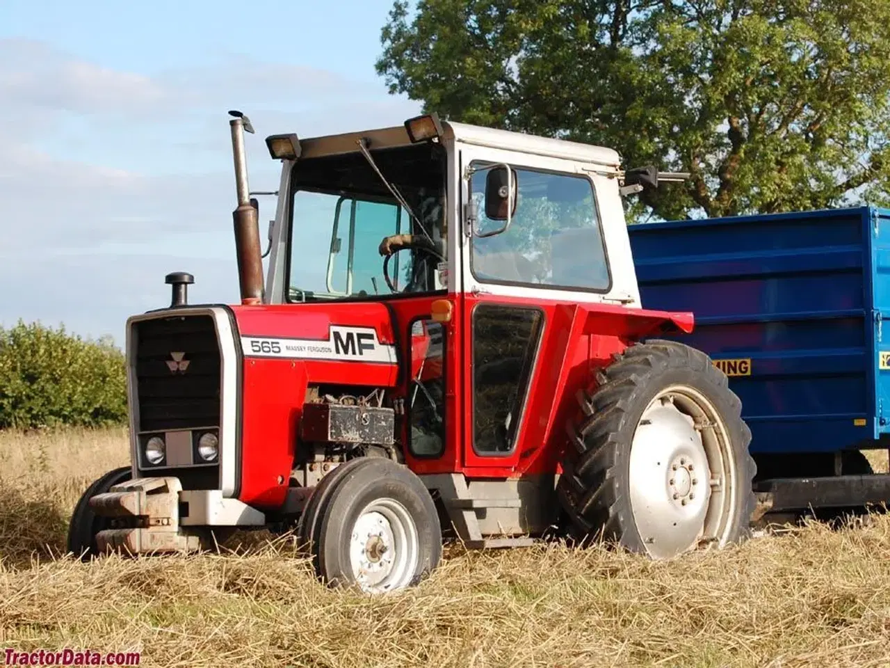 Billede 6 - KØBER af Massey ferguson til samling