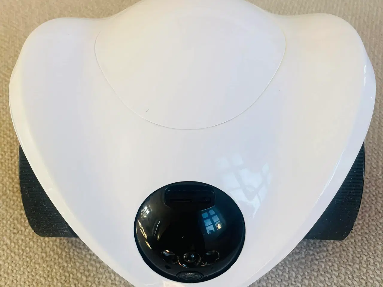 Billede 3 - Robot/legetøj til hund og kat 