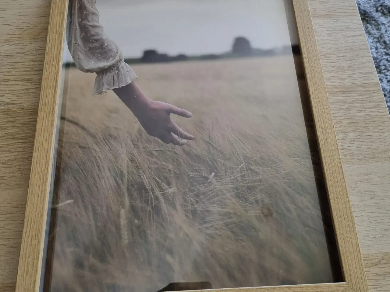 Billede 6 - Rödalm rammer 30x40 med poster  Ikea, pris pr stk 