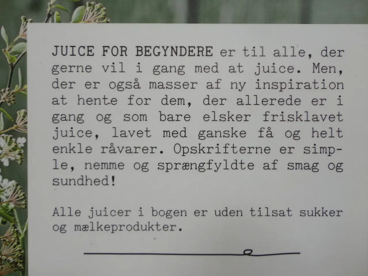 Billede 3 - Juice  &  Madpakke  :