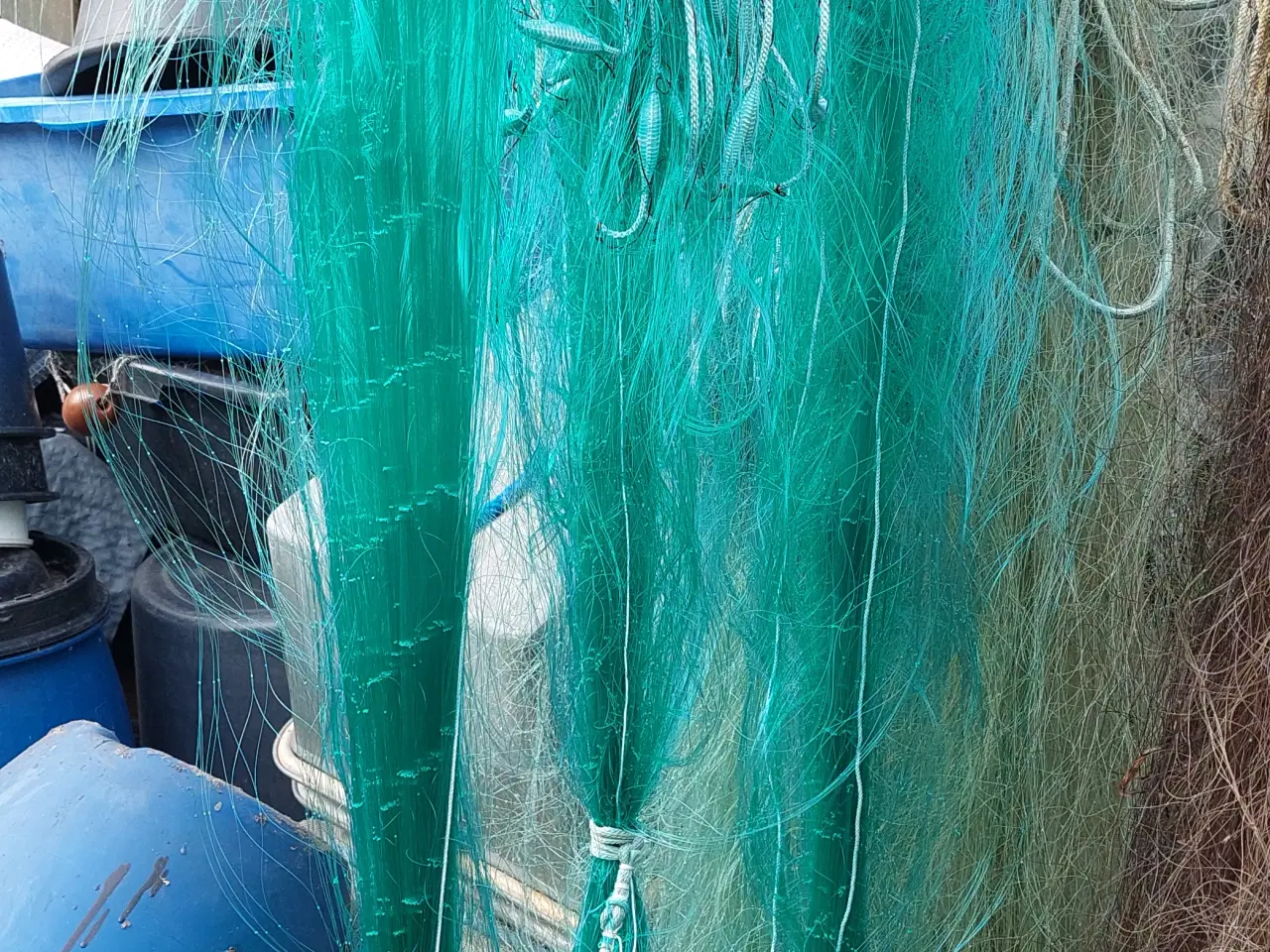 Billede 1 - Rødspætte / Skrubbegarn