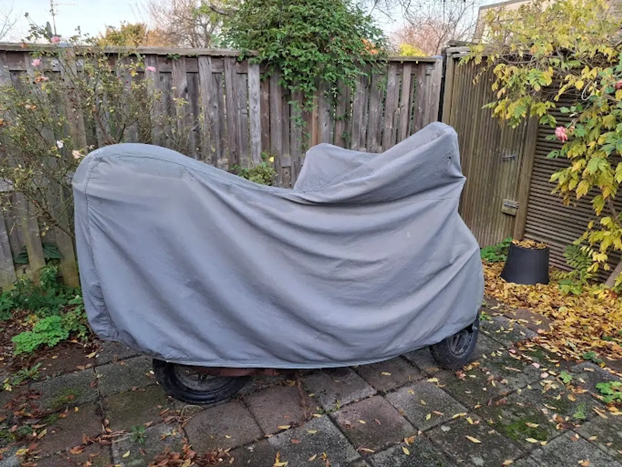 Billede 2 - VGS Formula Scooter 30