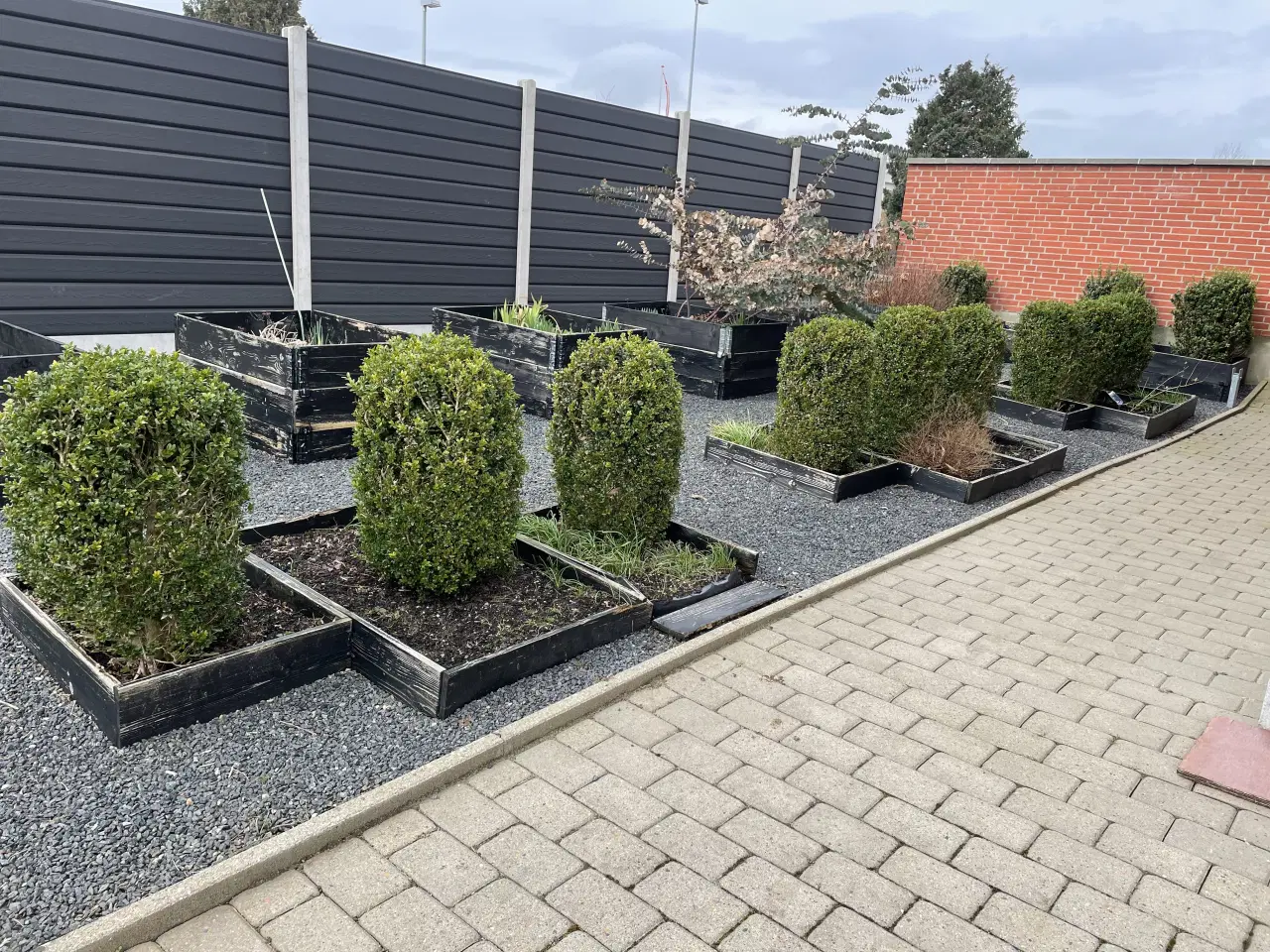 Billede 4 - GRATIS - KUN SAMLET - grav selv op