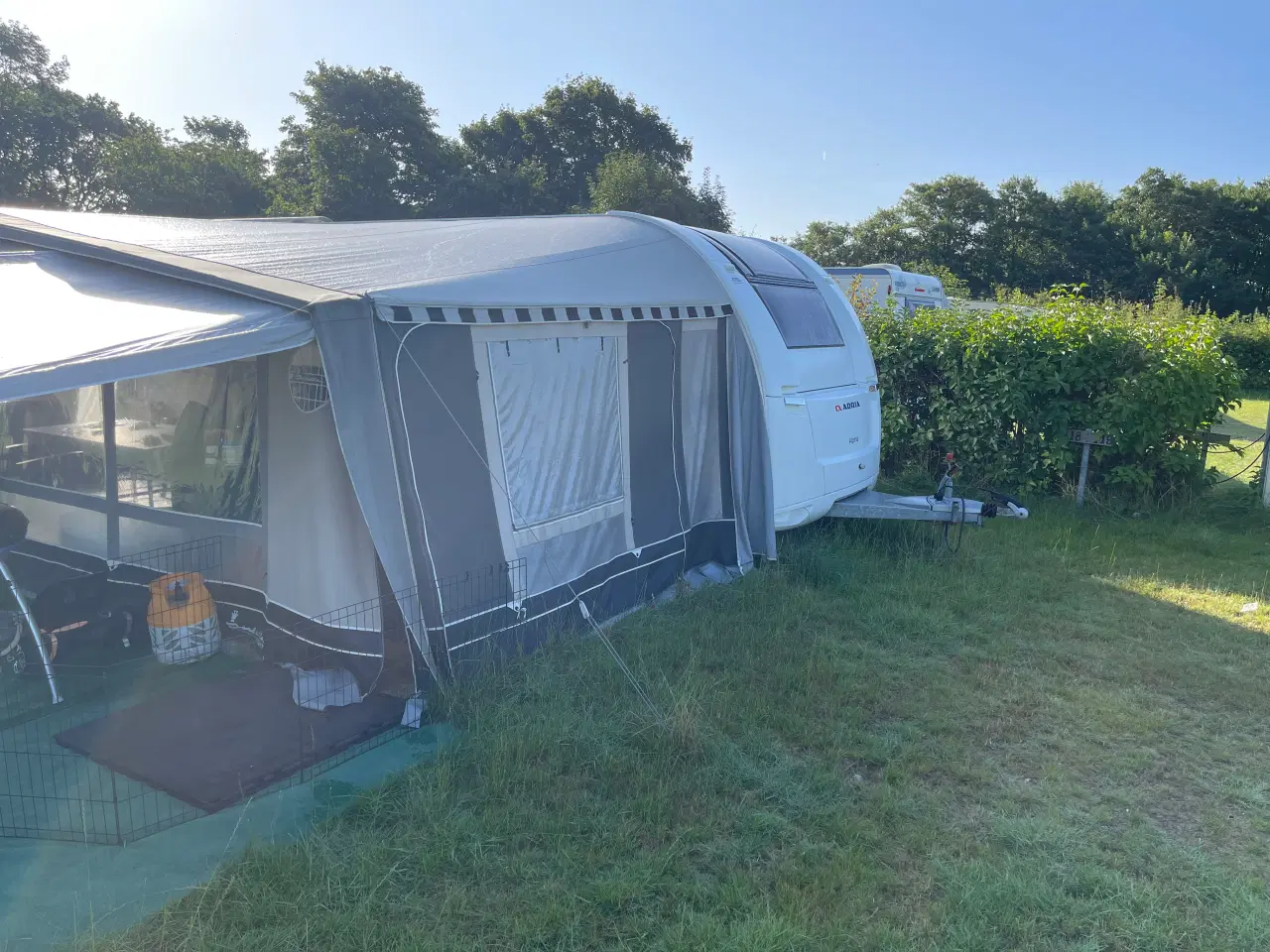 Billede 2 - Fortelt - commodore seed A1125