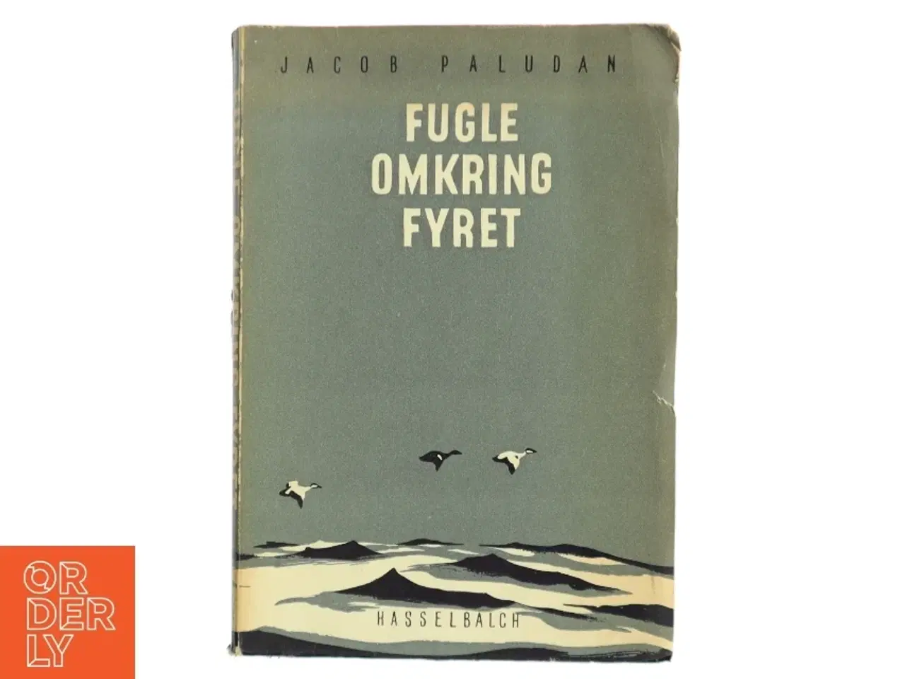 Billede 1 - Fugle omkring fyret af Jacob Paludan (Bog)
