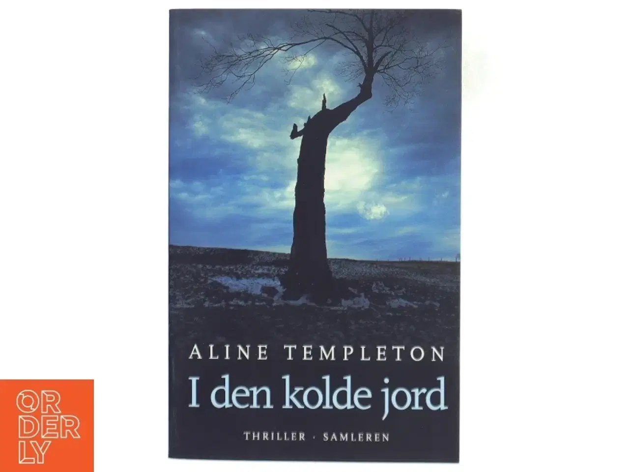 Billede 1 - I den kolde jord : thriller af Aline Templeton (Bog)