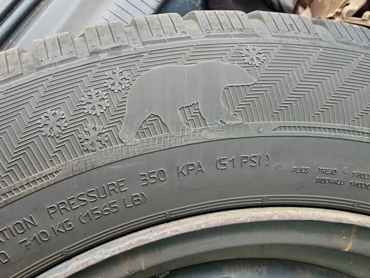 Billede 4 - VINTERBÆK PÅ STÅLFÆLGE siddet på Obel crossland x 