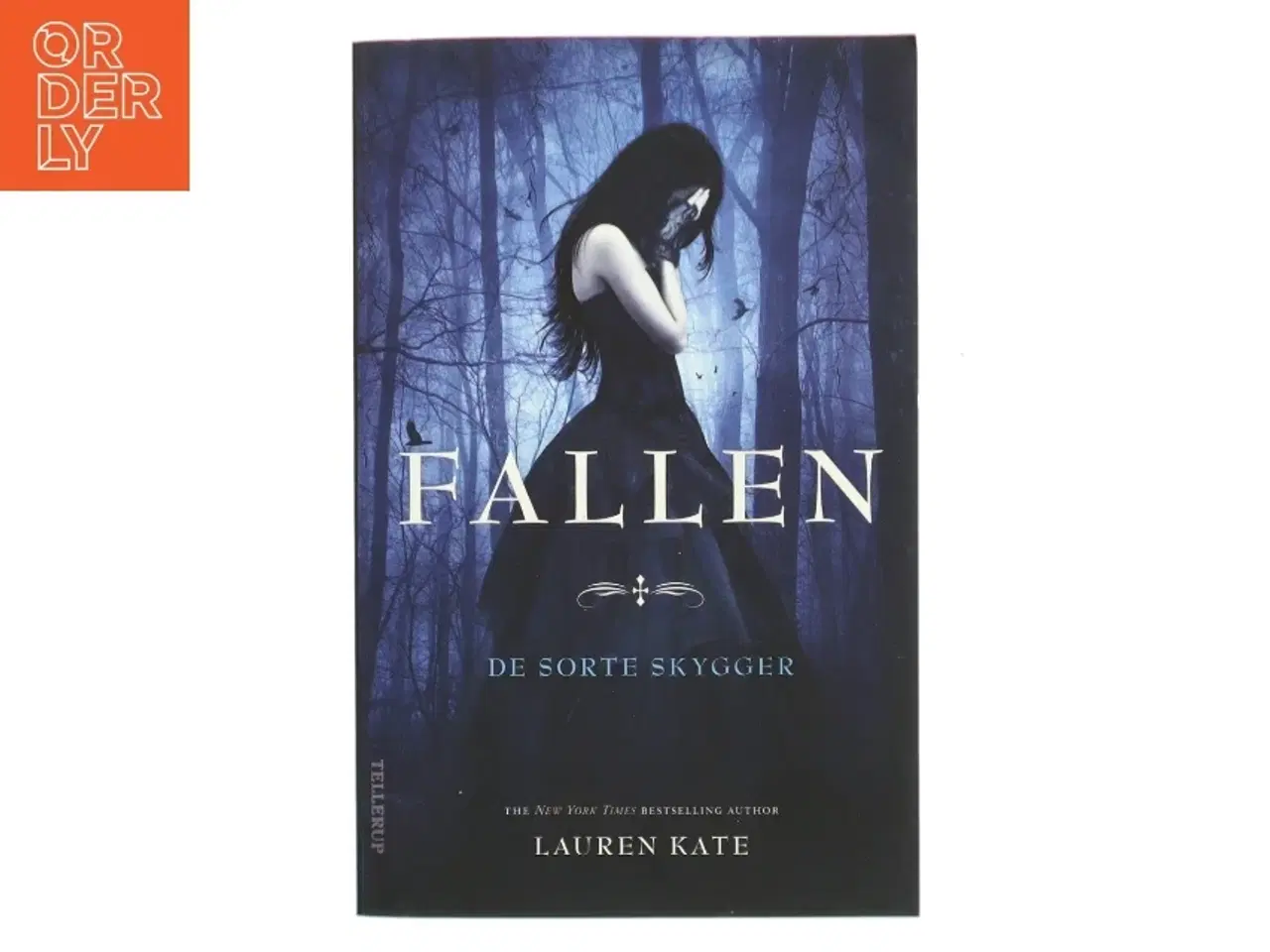 Billede 1 - Fallen af Lauren Kate (Bog)