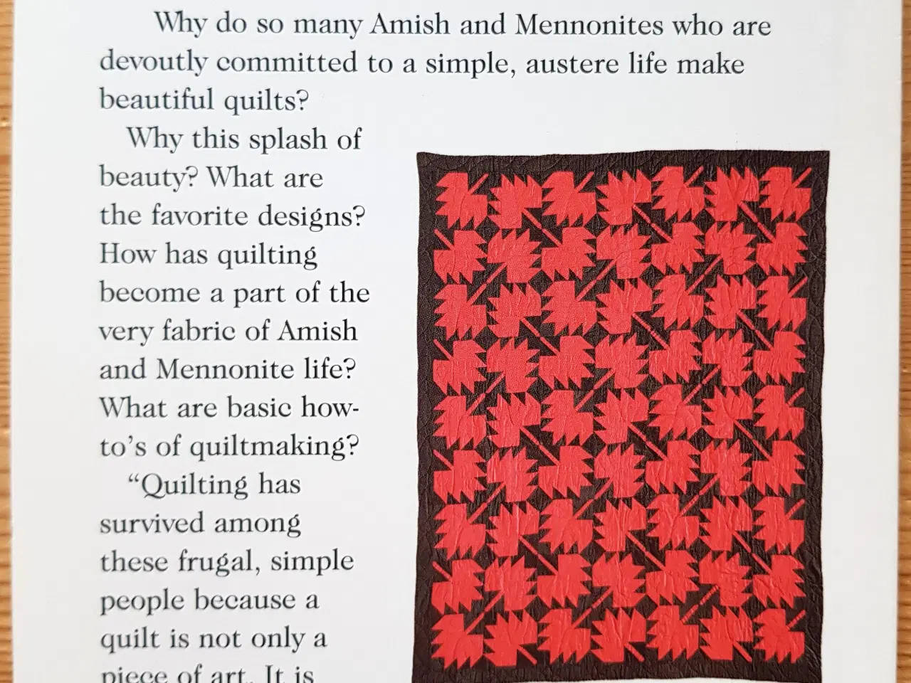 Billede 3 - Amish Quilts  -  amerikanske patchworkbøger