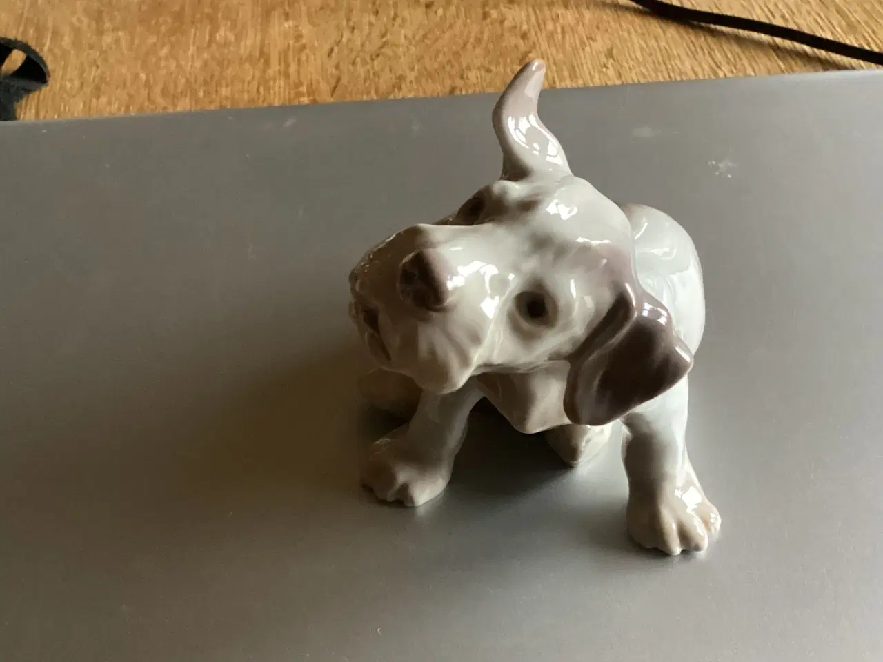 Billede 3 - BG Sealyham Hundehvalp