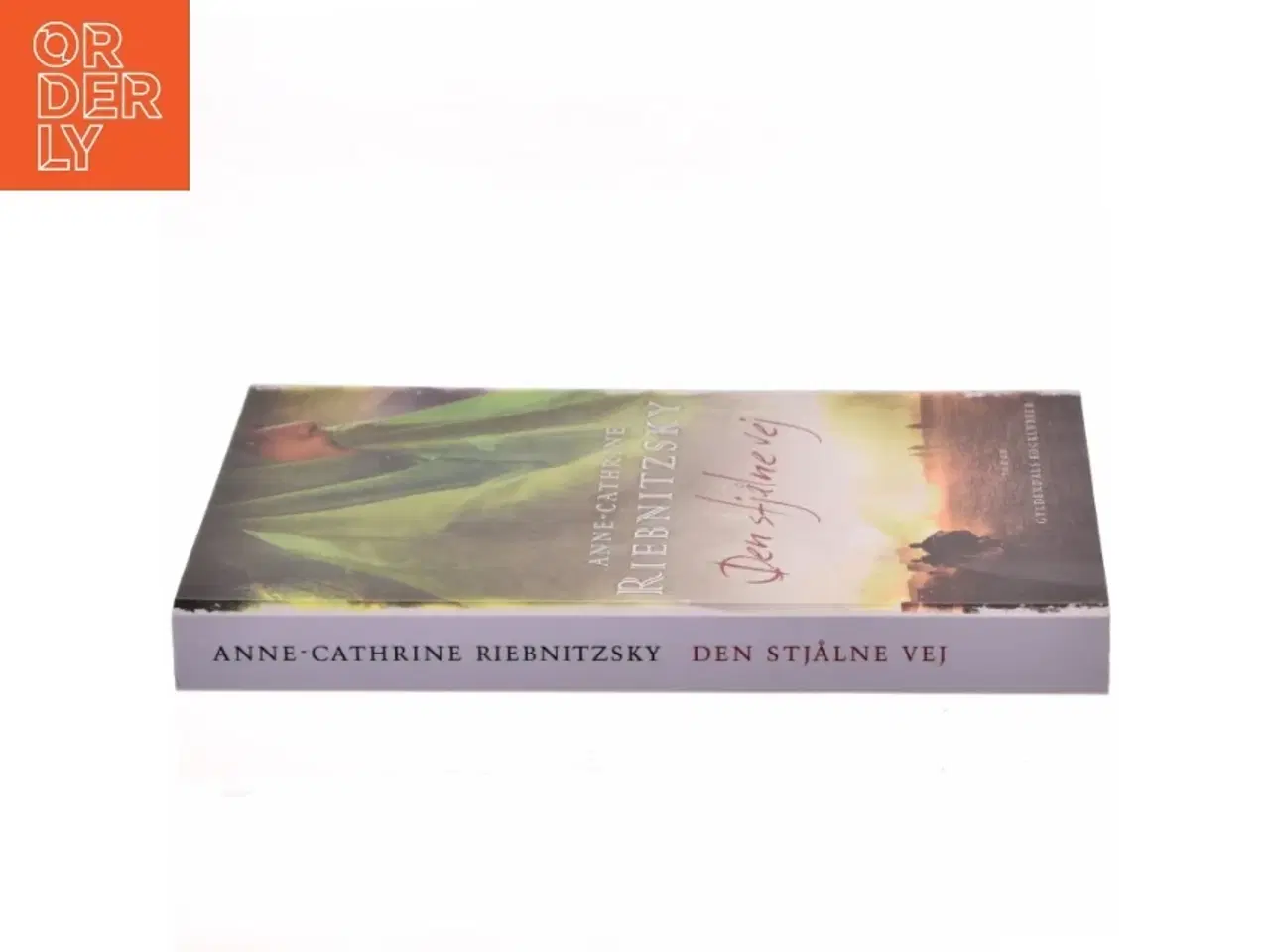 Billede 2 - Den stjålne vej af Anne-Cathrine Riebnitzsky (Bog)
