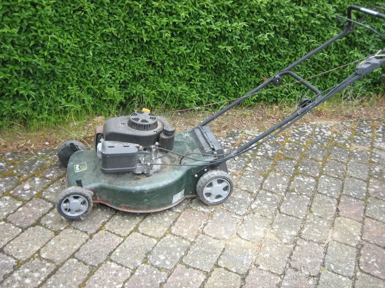 Billede 4 - Plæneklipper som kører på benzin.