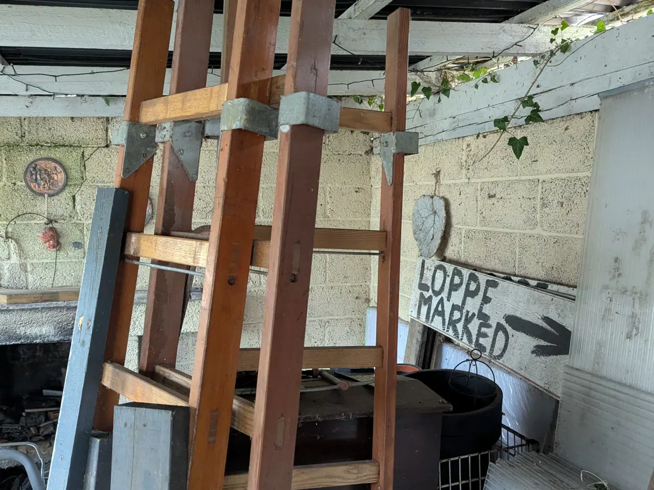 Billede 2 - Brandstiger 