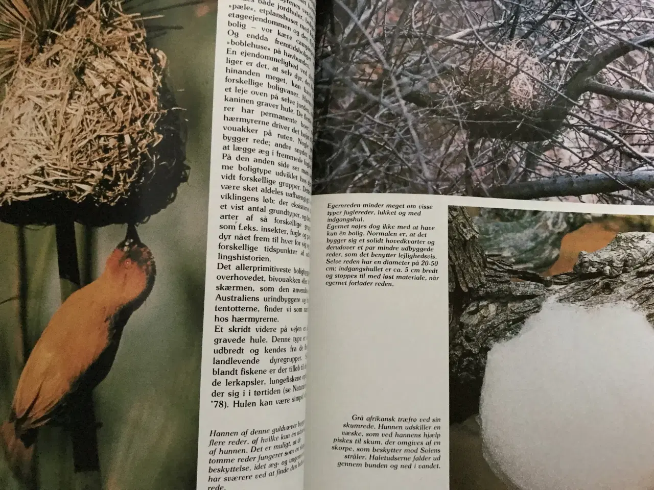 Billede 8 - 4 stk. Naturårsbøger