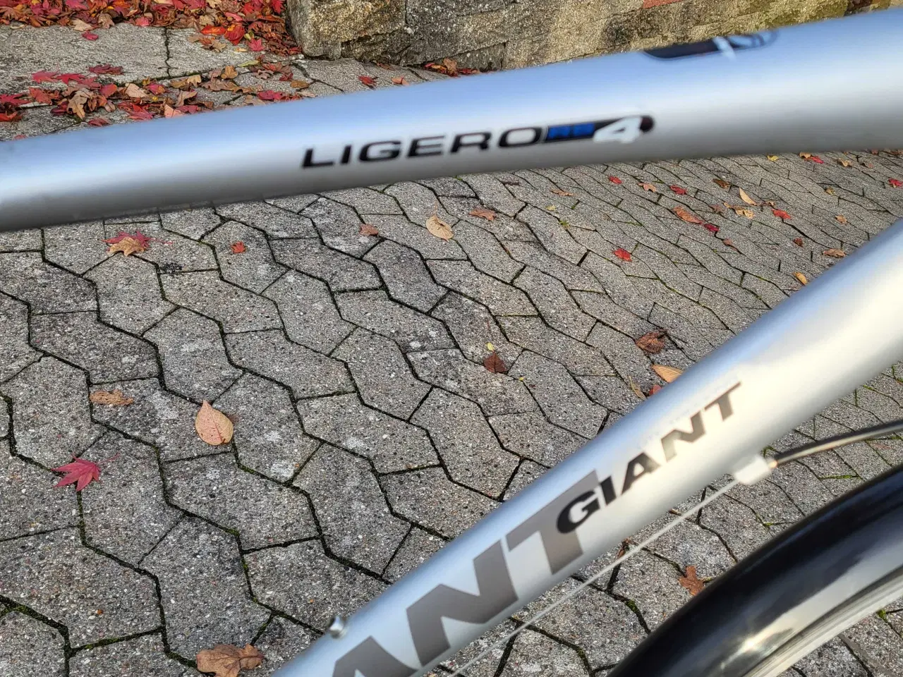 Billede 2 - Herrecykel Giant 28"