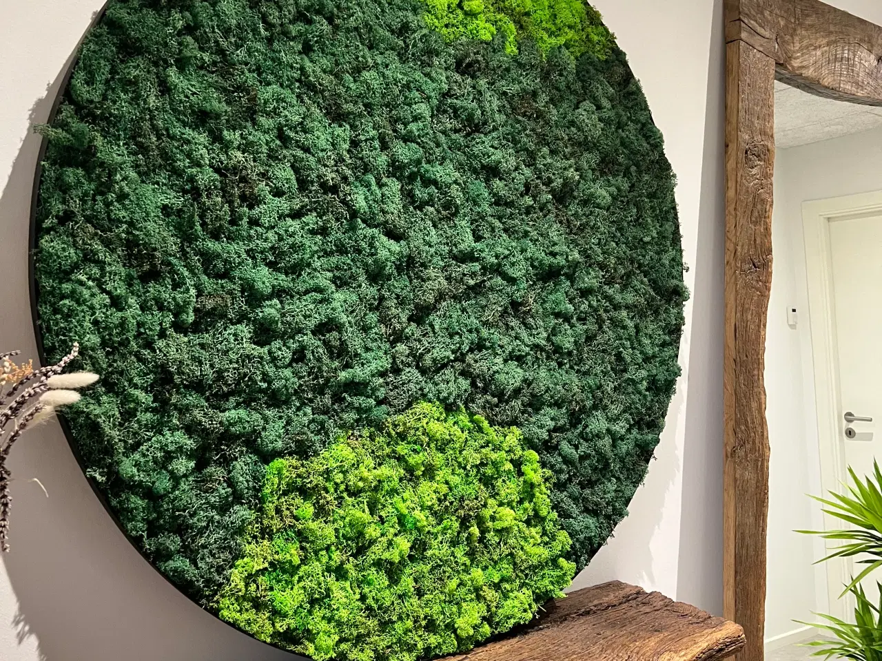 Billede 12 - Mos billeder 