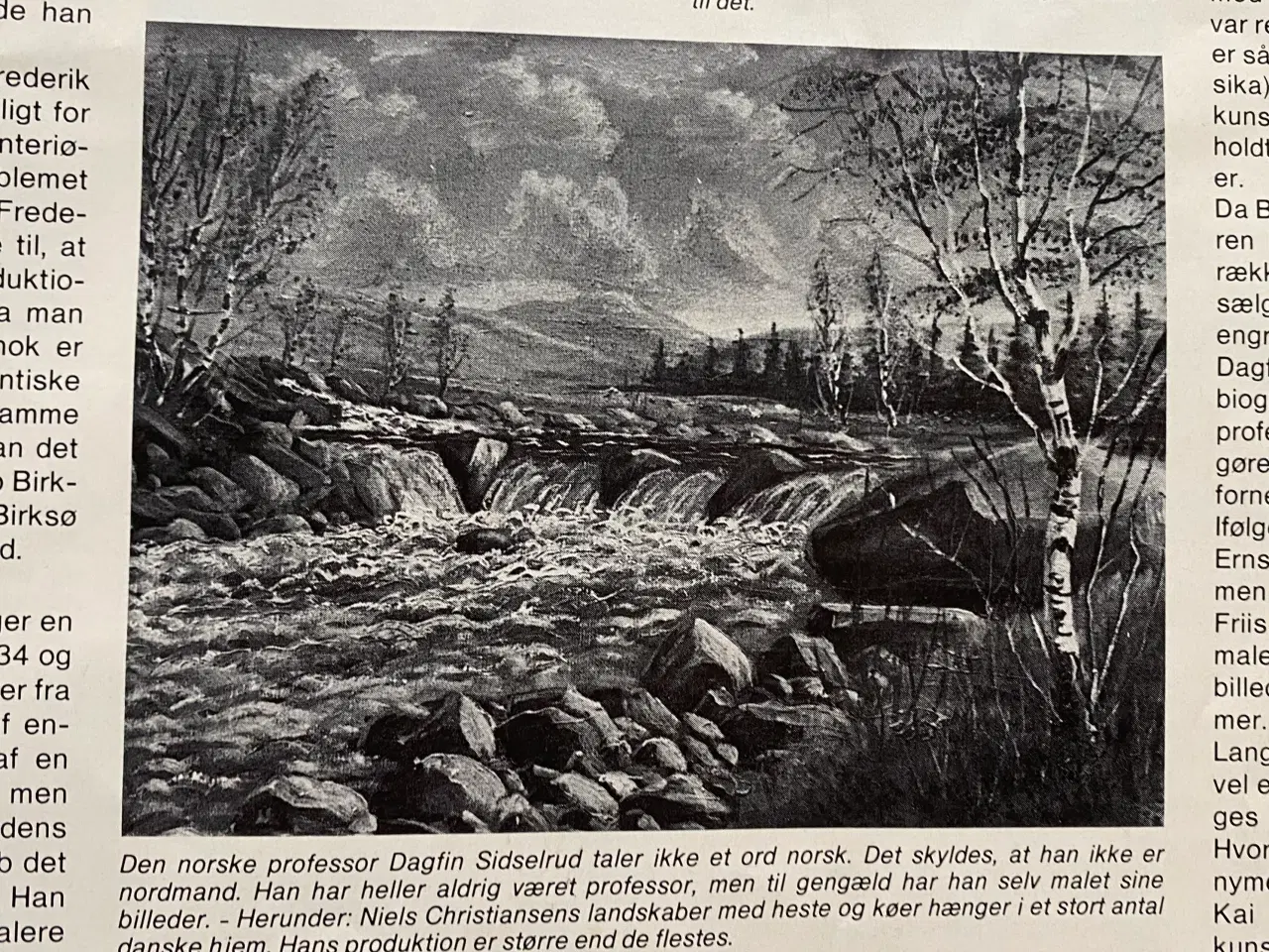 Billede 4 - Dagfin Sidselrud oliemaleri 