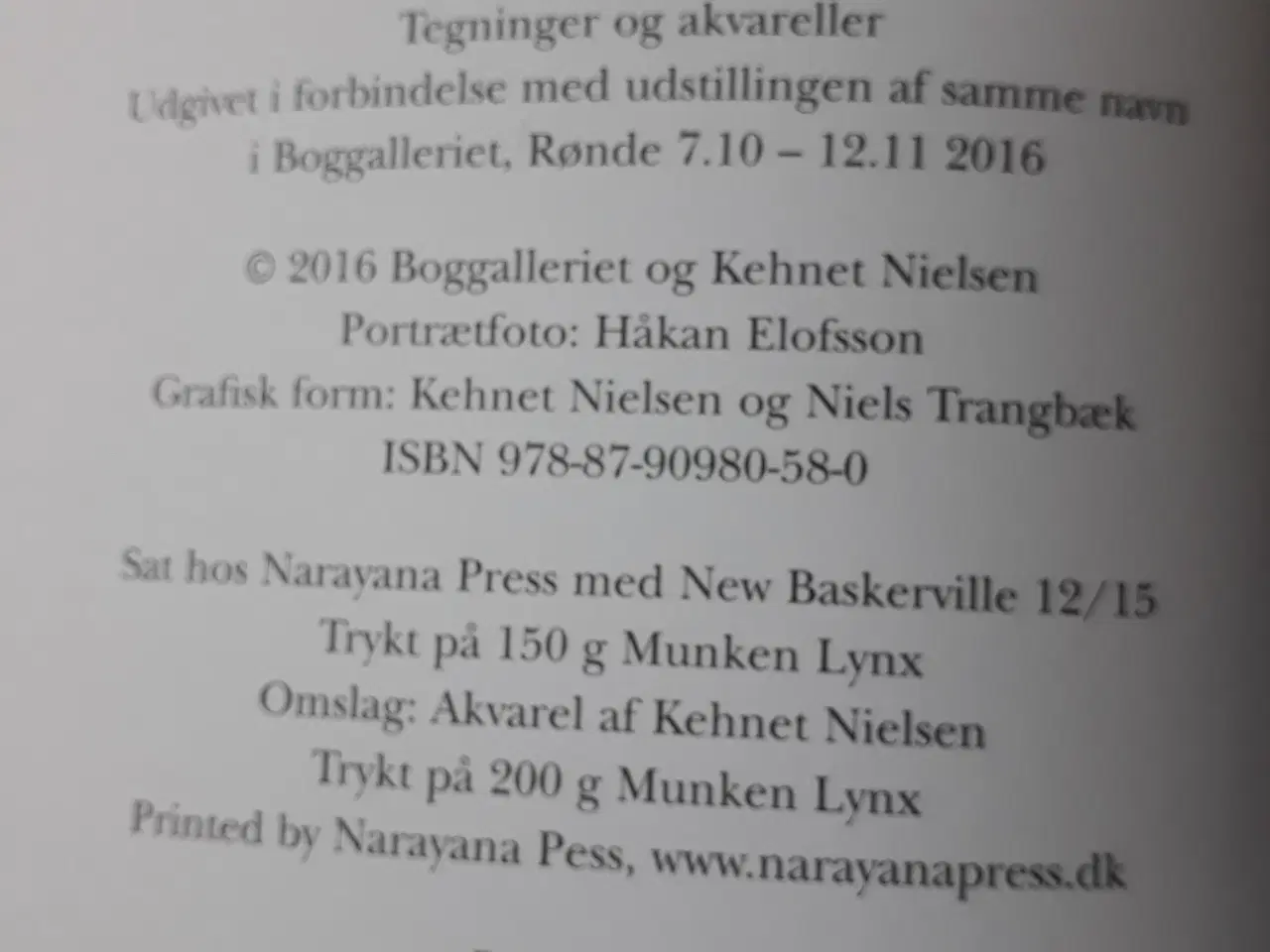 Billede 4 - Kehnet Nielsen - Tegningens arabesk