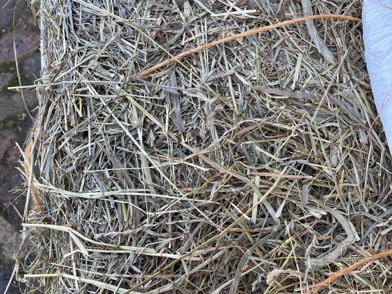 Billede 3 - Wrap i Morten Korch