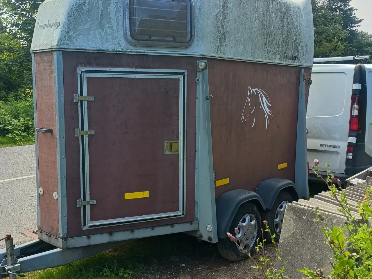Billede 5 - Hestetrailer til en hest