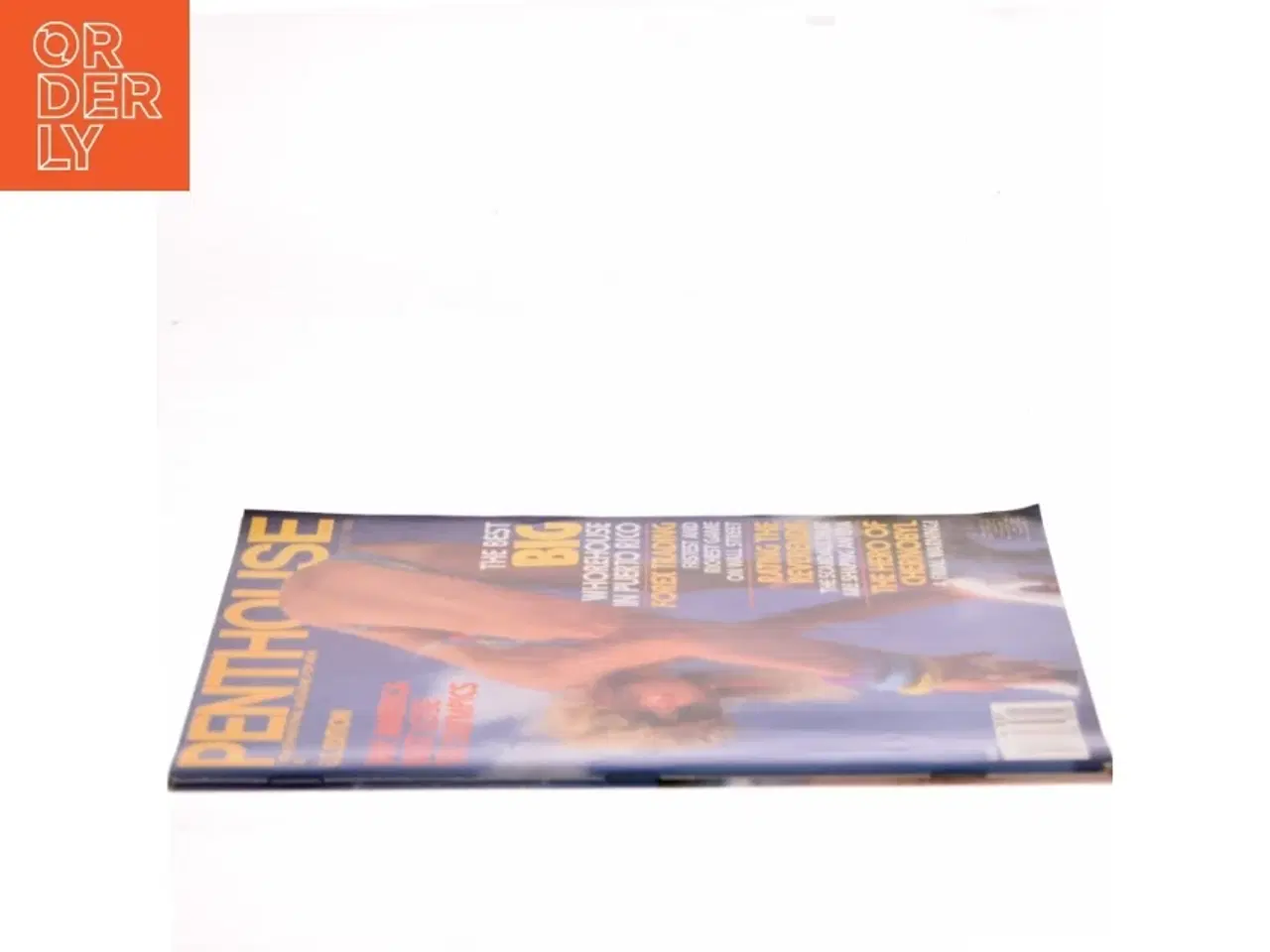 Billede 2 - Penthouse (Bog)
