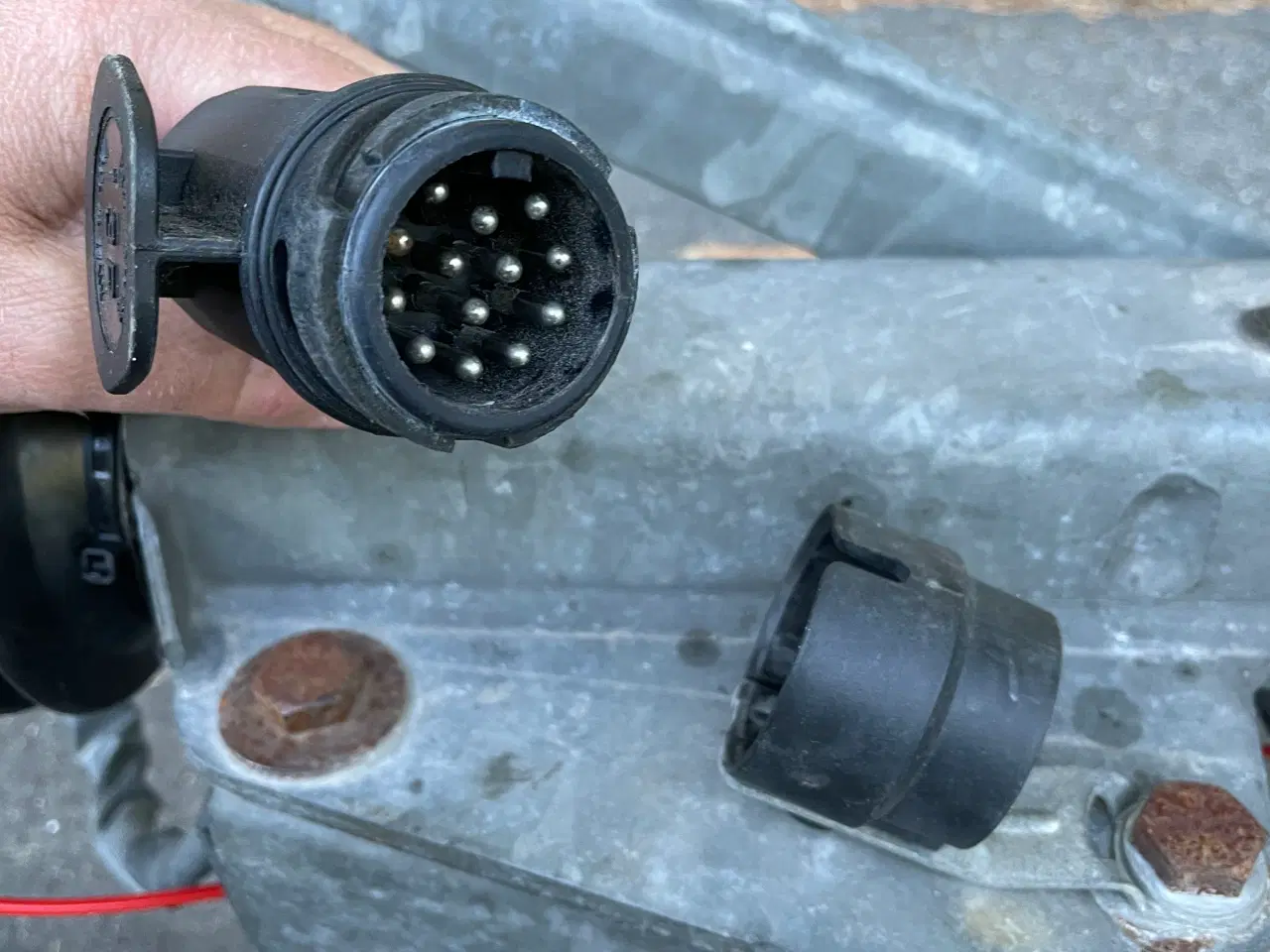 Billede 16 - HUMBAUR CLEON HESTETRAILER