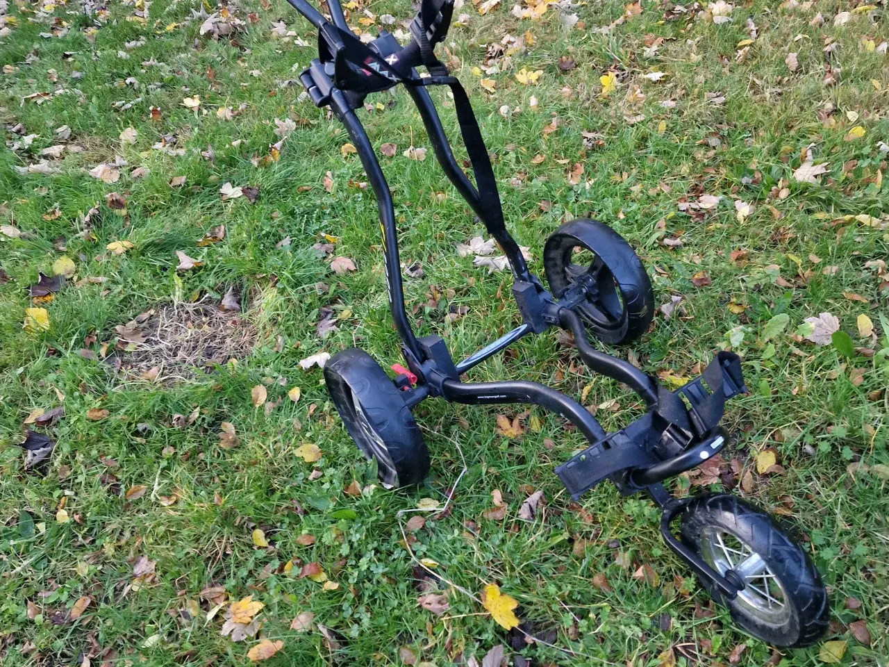 Billede 1 - Golfvogn