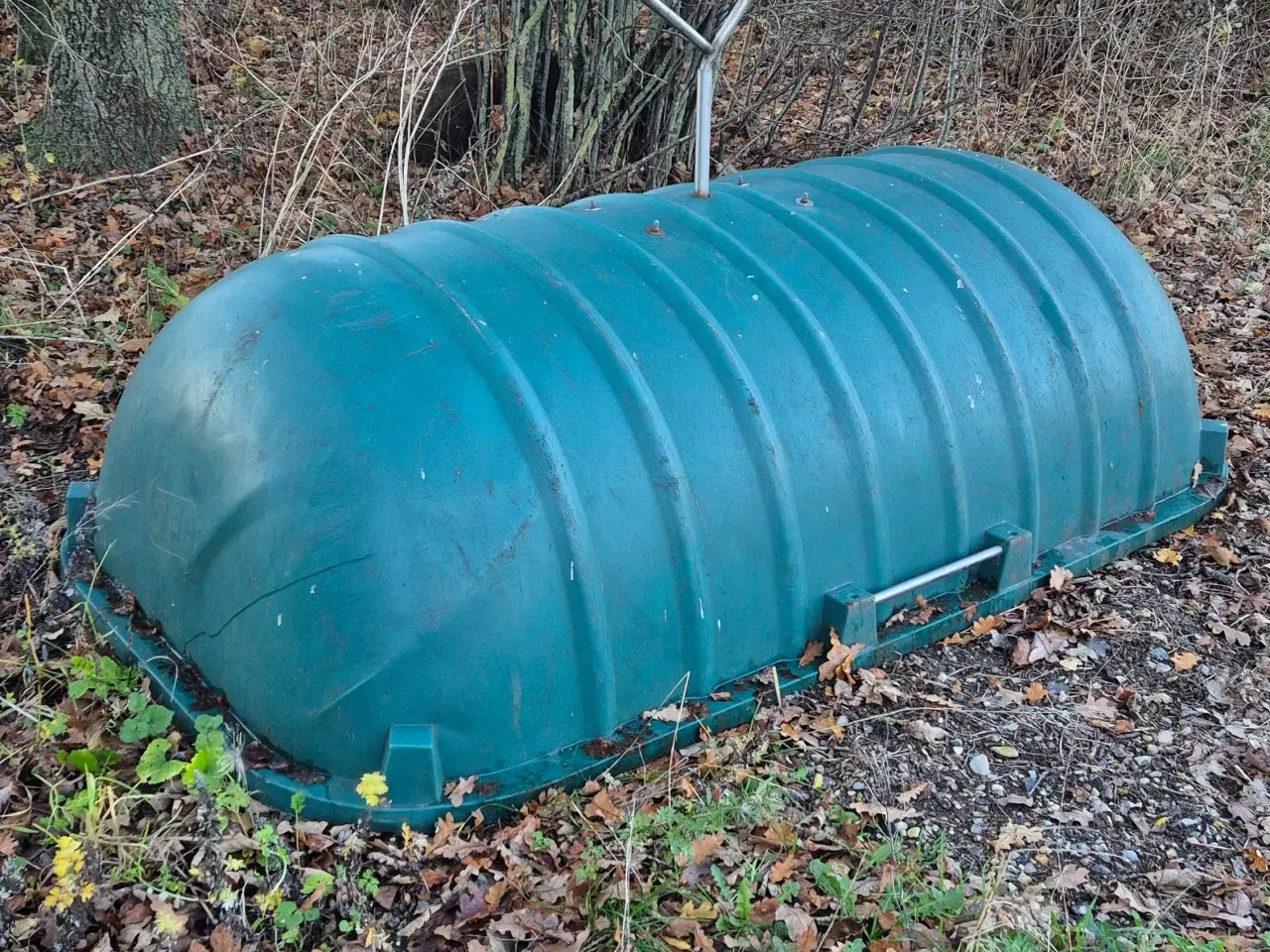 Billede 1 - Kadaverkap