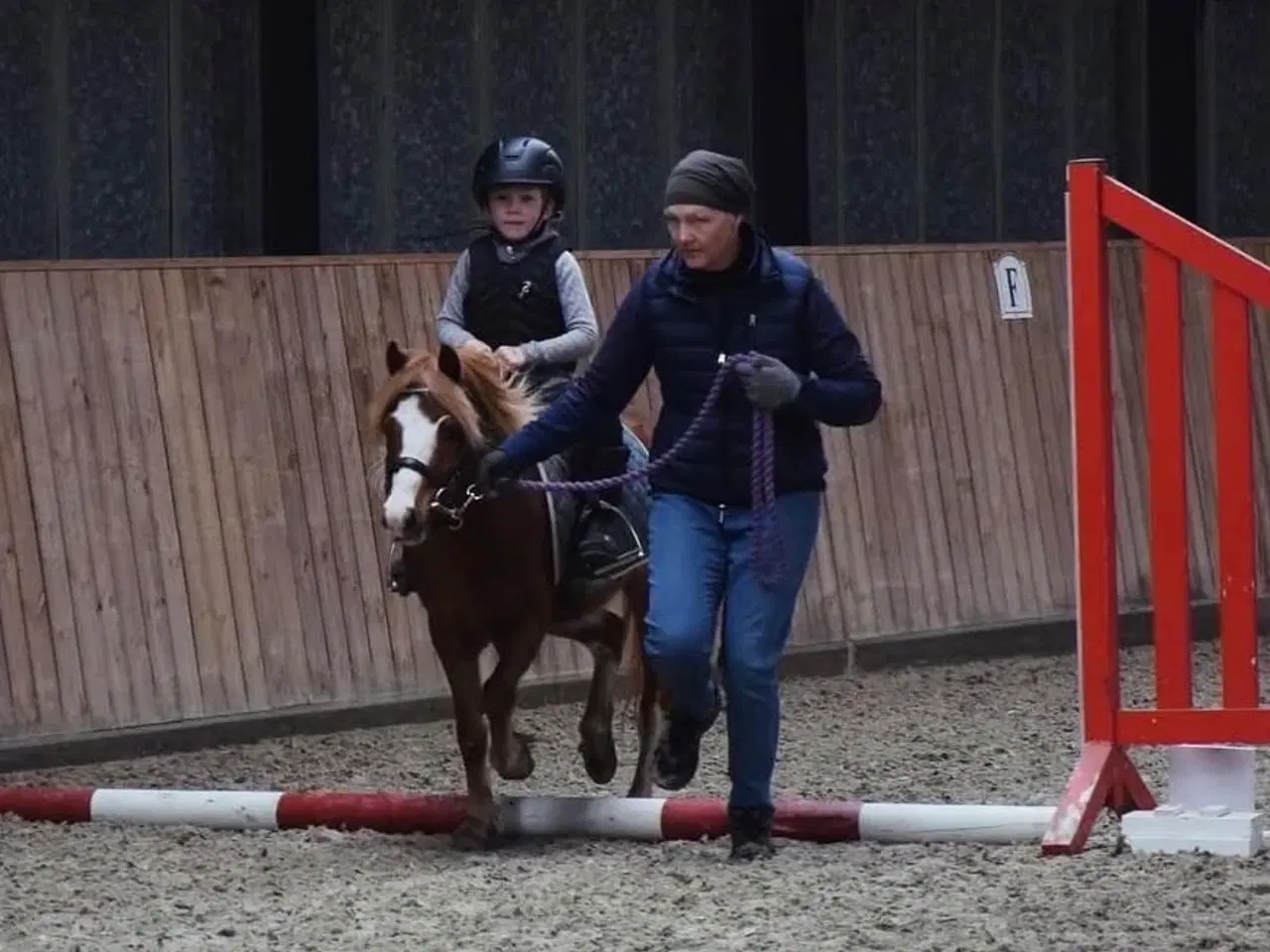 Billede 5 - Børne ponyen 