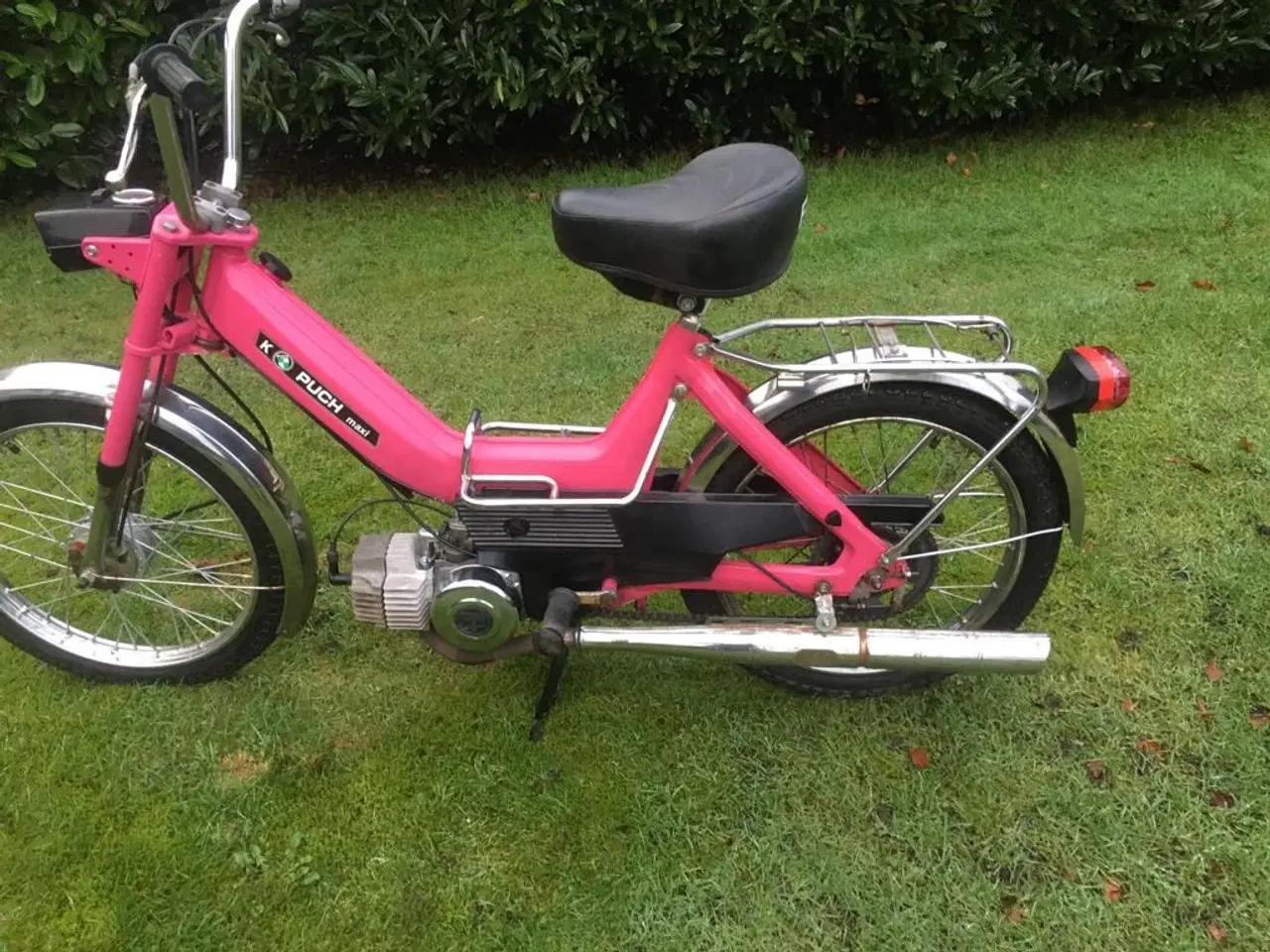 Billede 1 - Puch maxi 