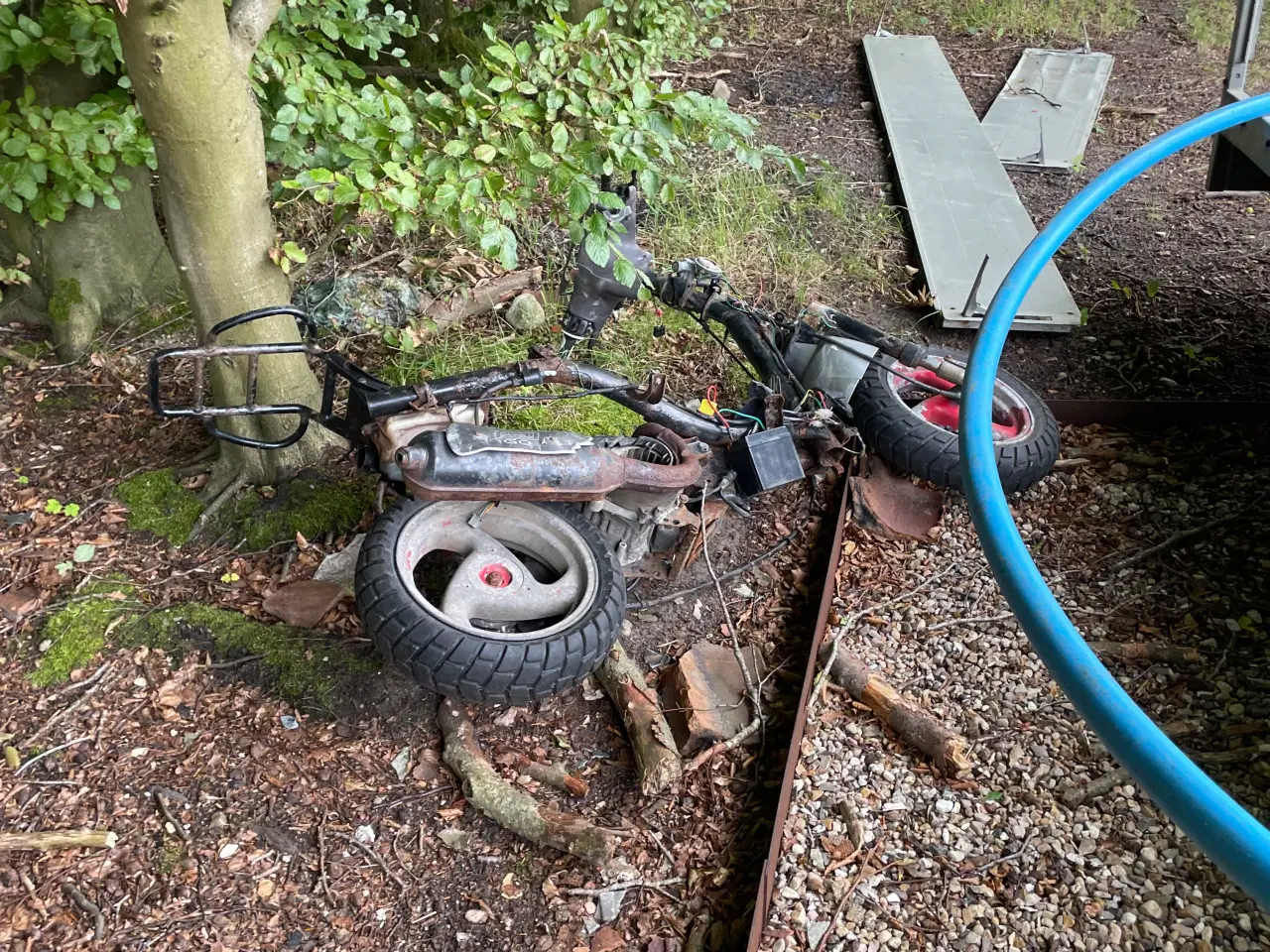 Billede 2 - Gratis scooter