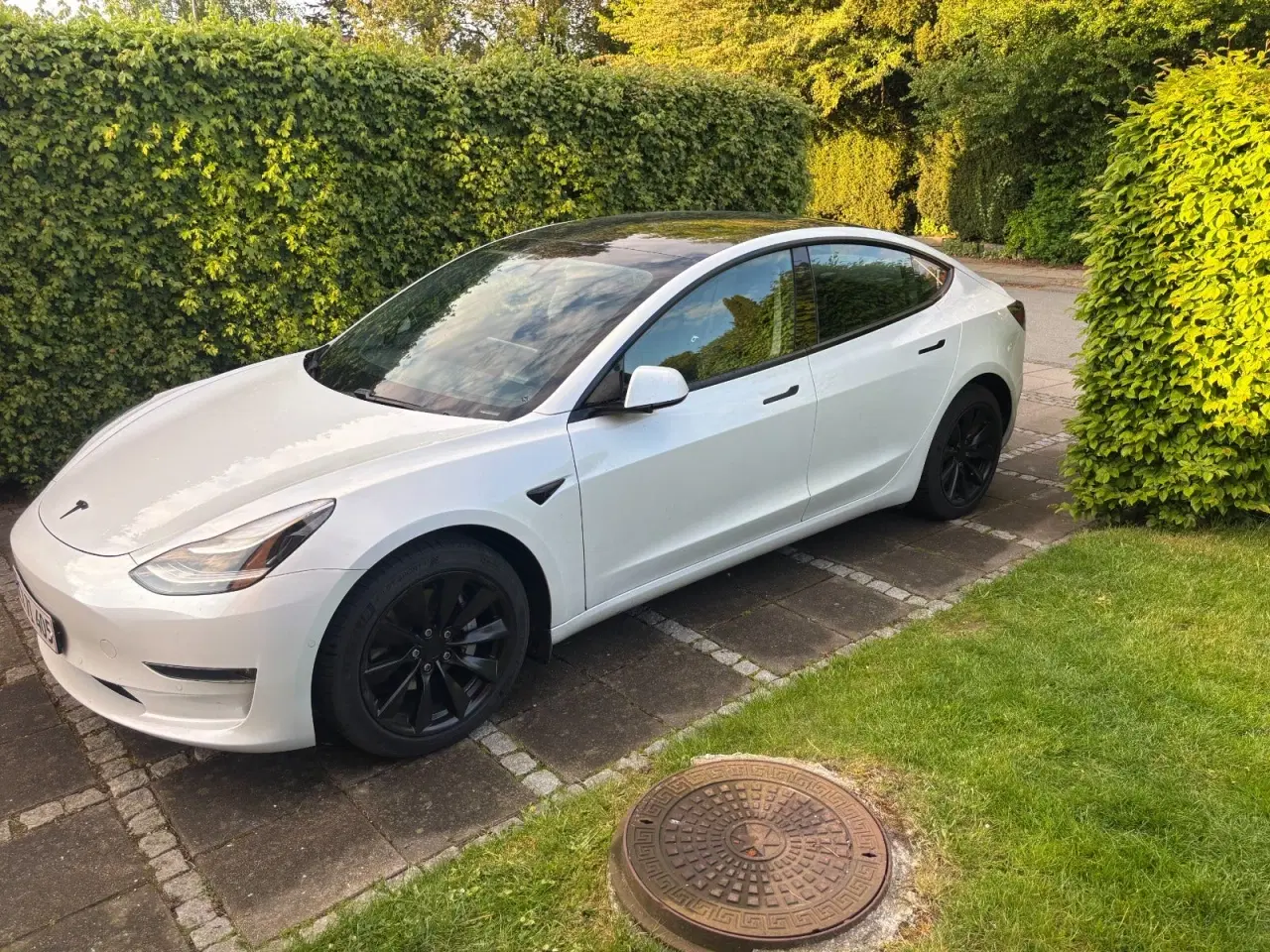 Billede 1 - Tesla Model 3  Long Range AWD