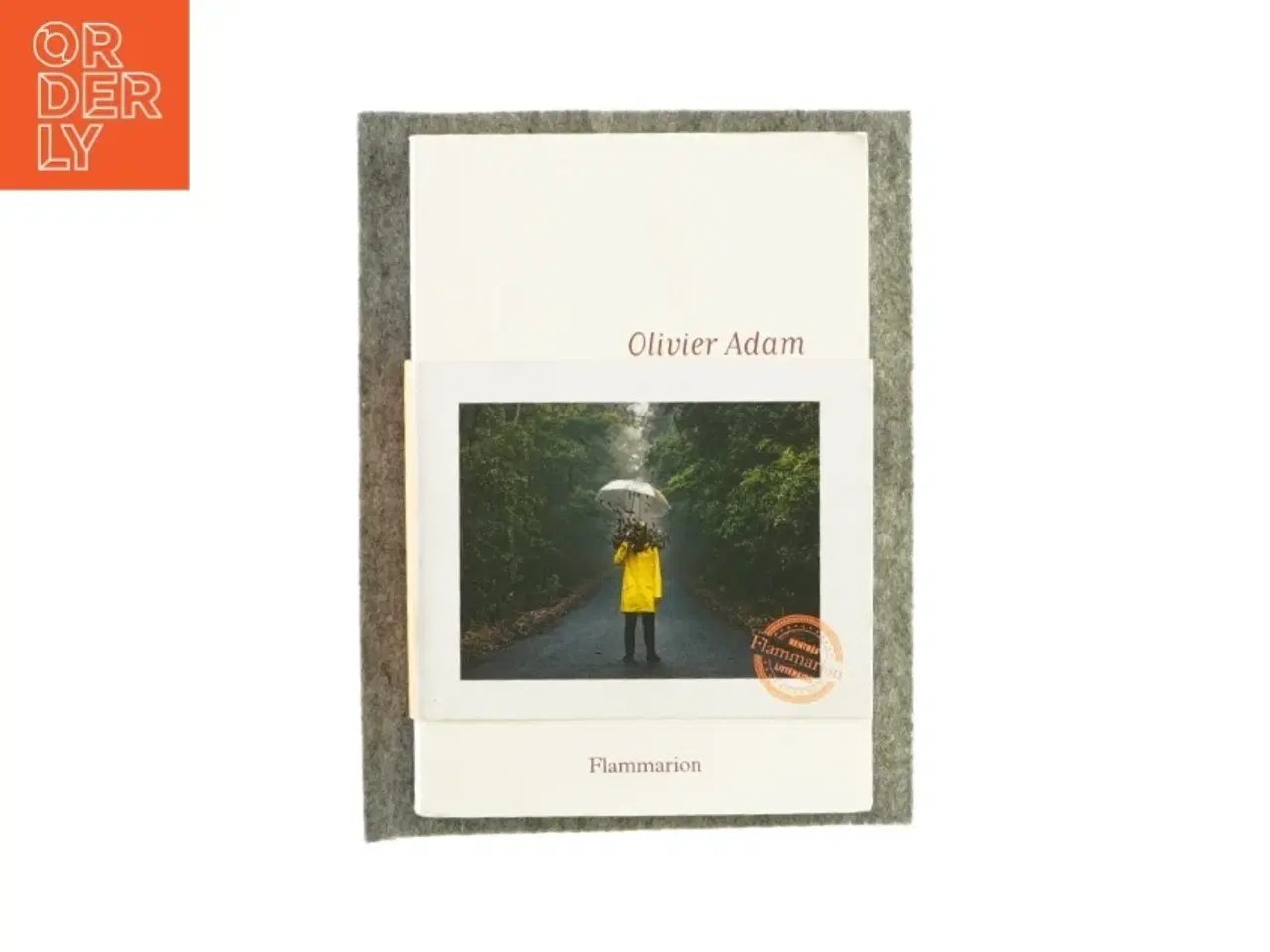 Billede 1 - Flammarion af Olivier Adam (bog)