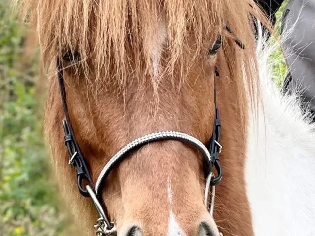 Billede 2 - Jule tilbud