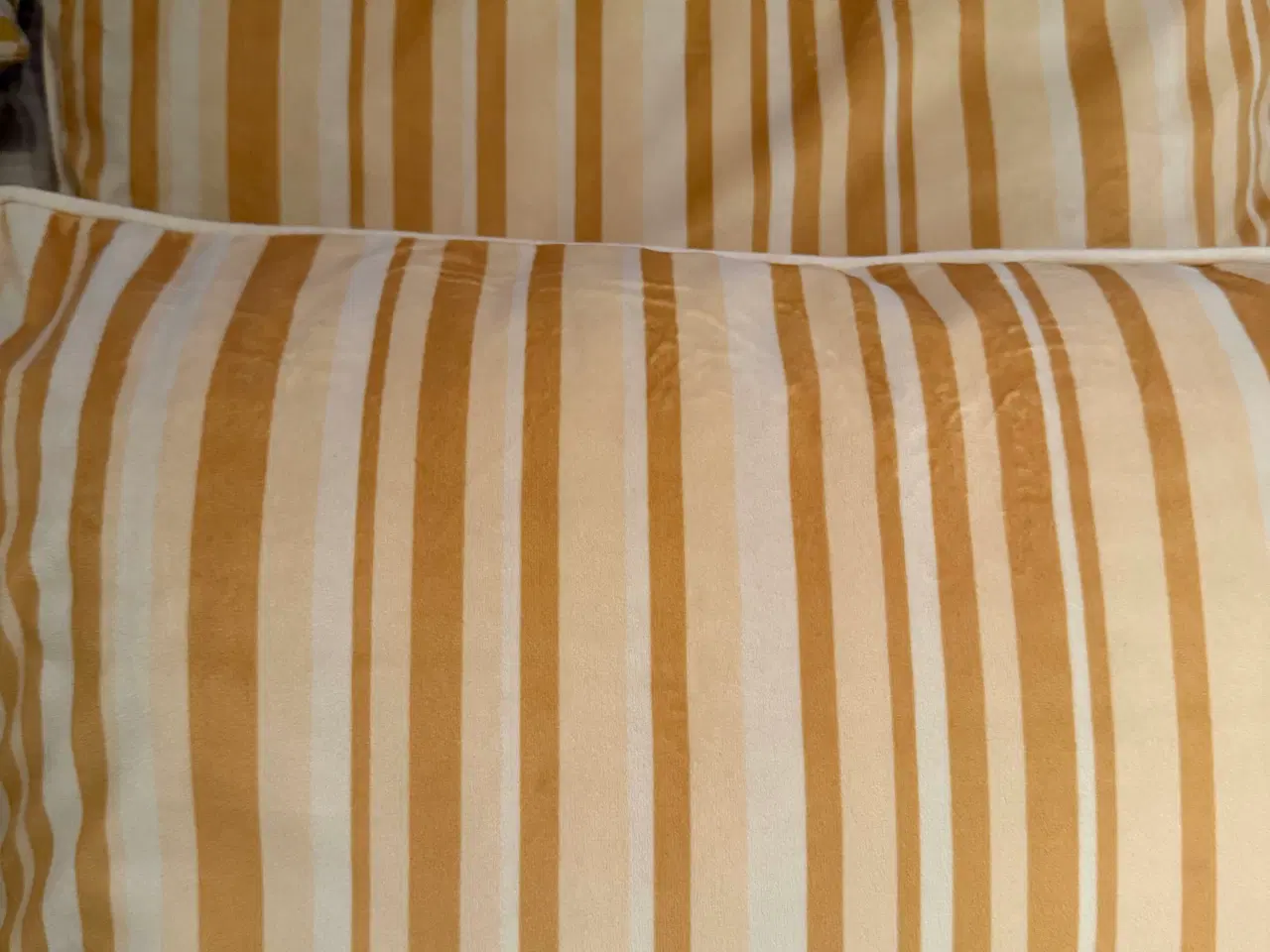 Billede 2 - 6 puder mrk. Vanilla Fly