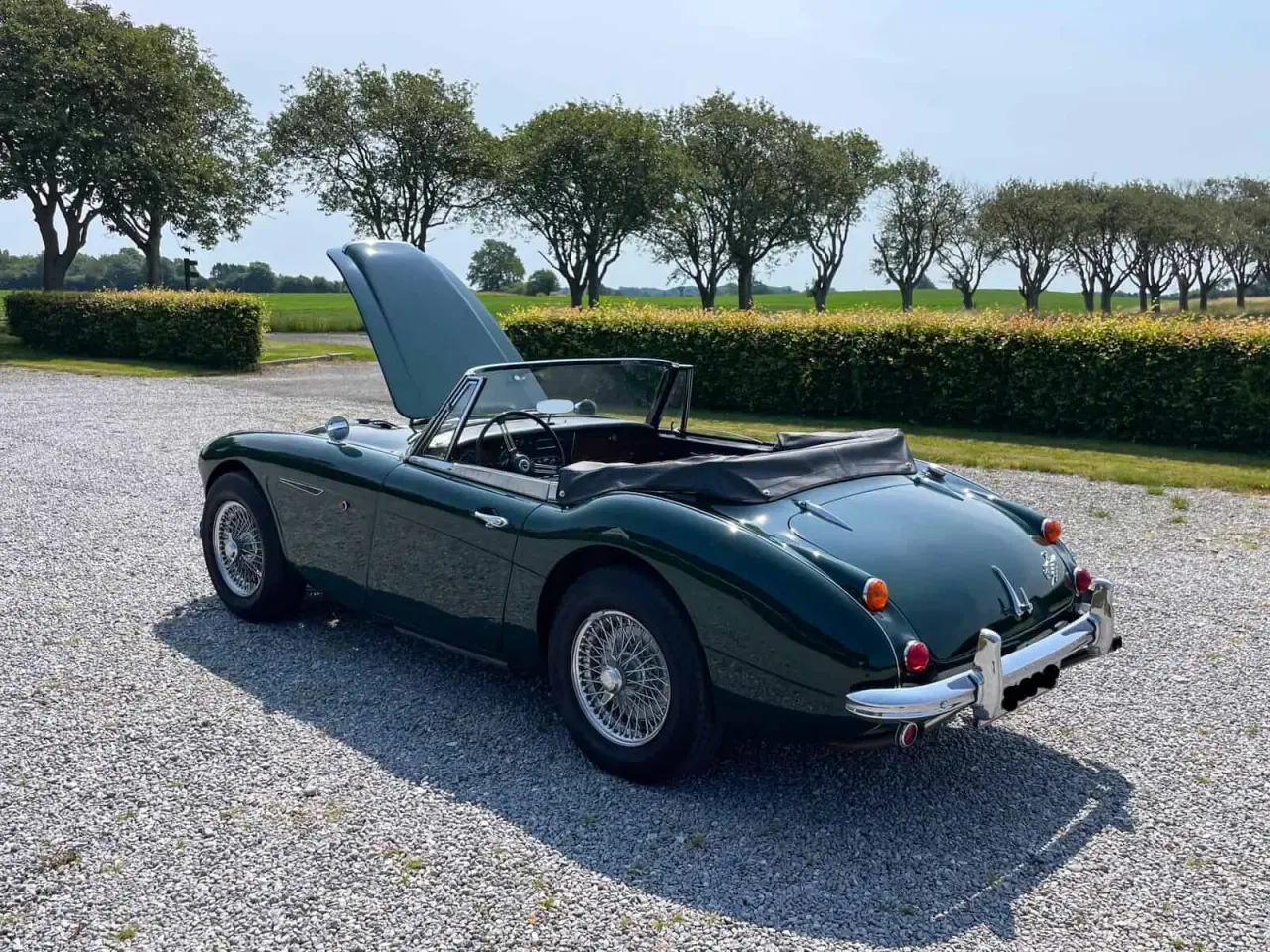 Billede 6 - Austin Healey 3000 BJ8 MK III årg 1966