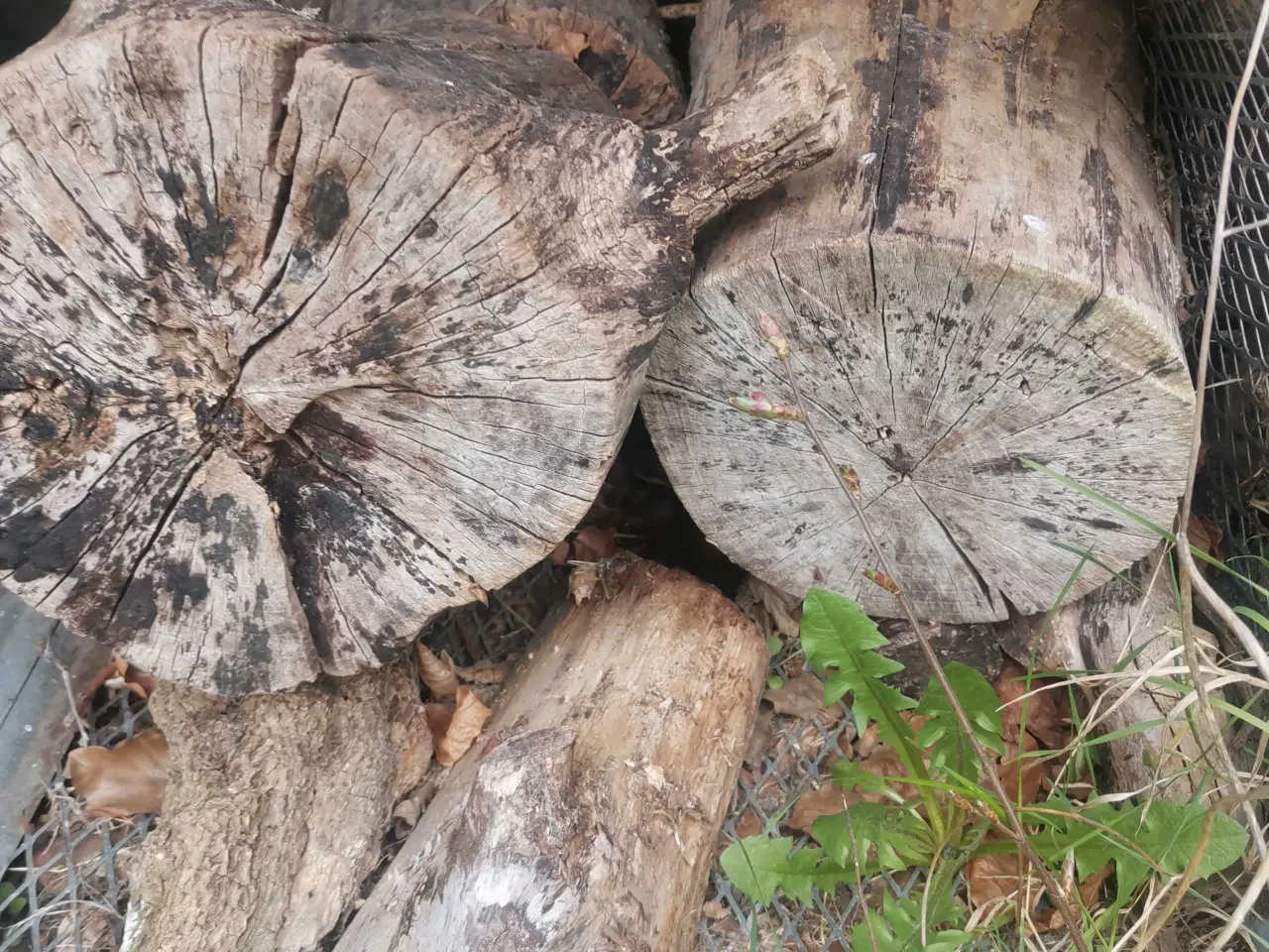 Billede 2 - En Brænde stak 30 kr ialt🌸 