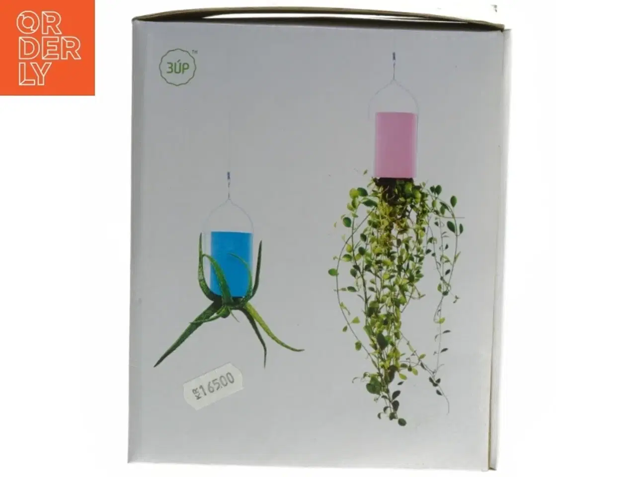 Billede 1 - Hængende planter fra 3up (str. H. 14 cm. d. 10,5 cm. w. 900 g)